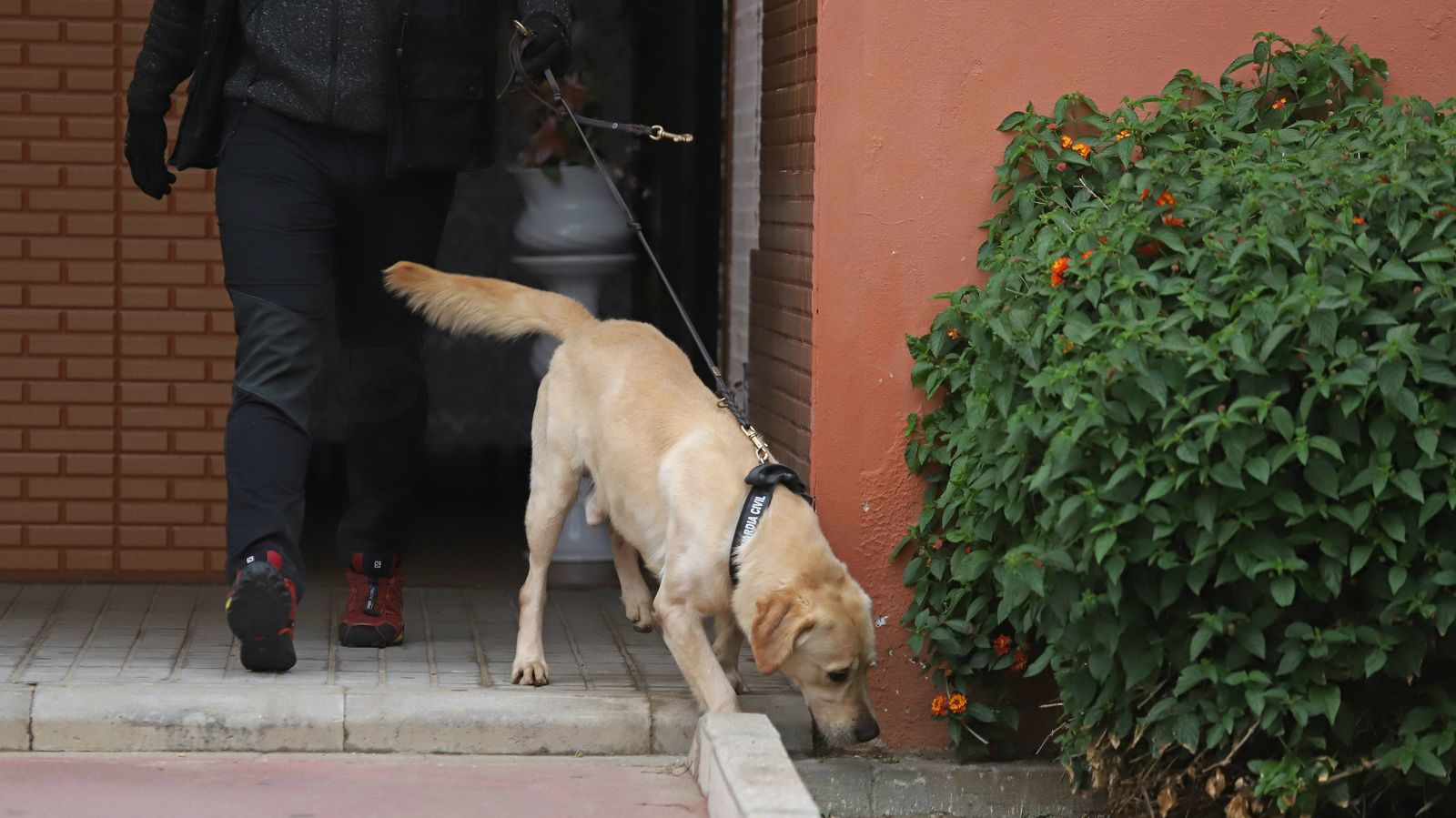 Fotos del registro de la Guardia Civil en la calle Guadalupe de La Línea