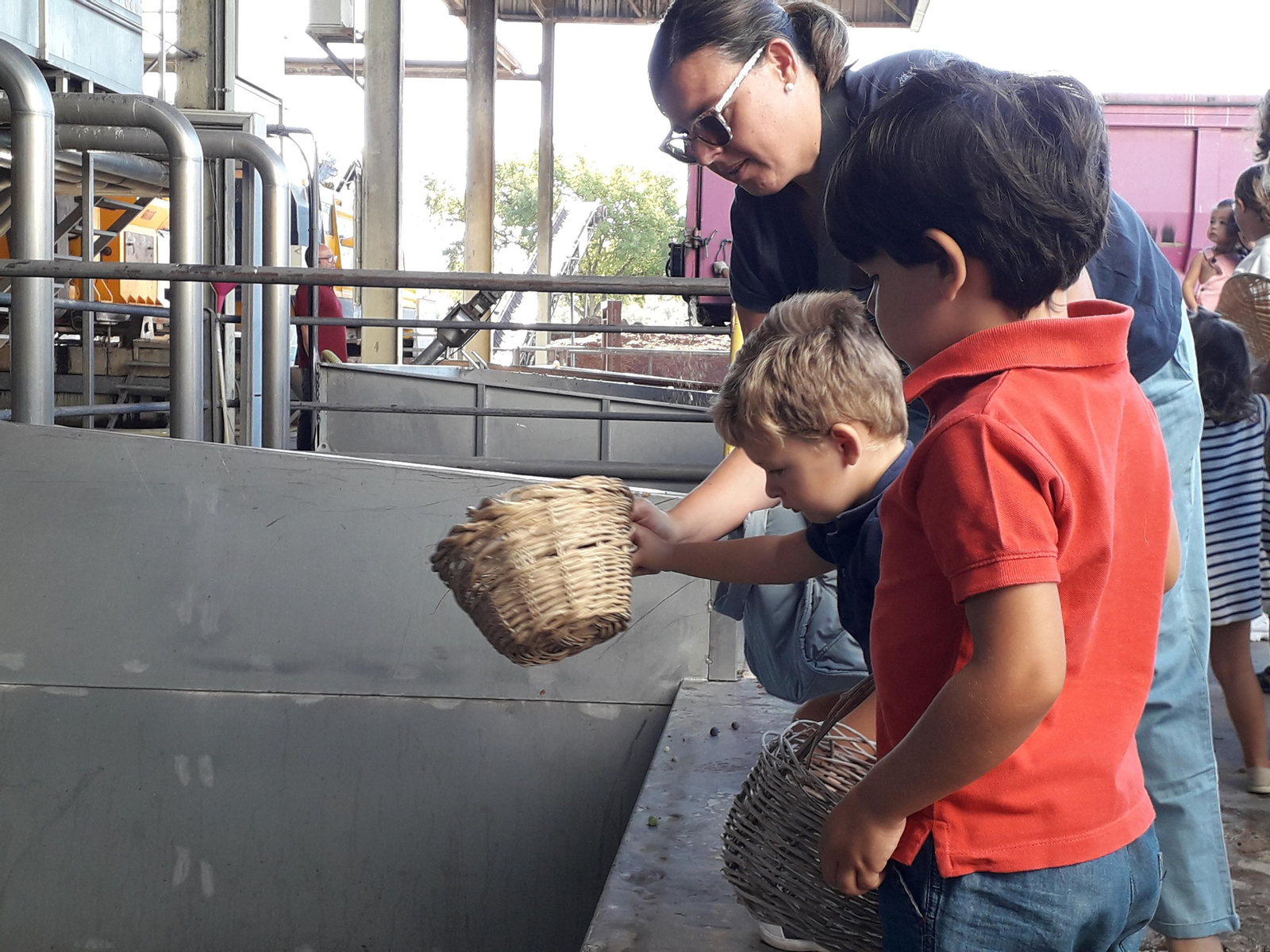 La primera vendimia infantil de Montilla, en imágenes