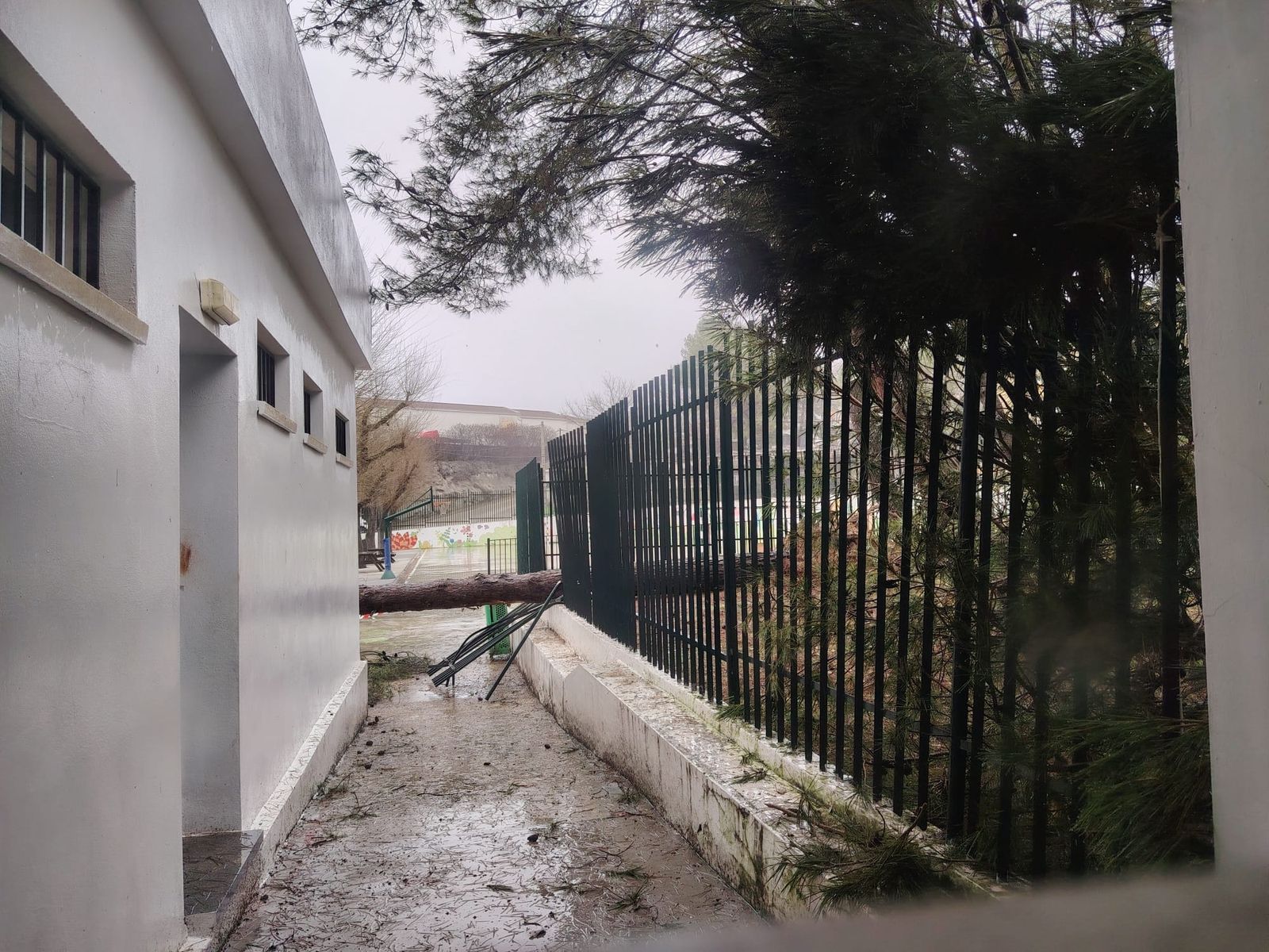 Colegio Ángel Carrillo de Priego