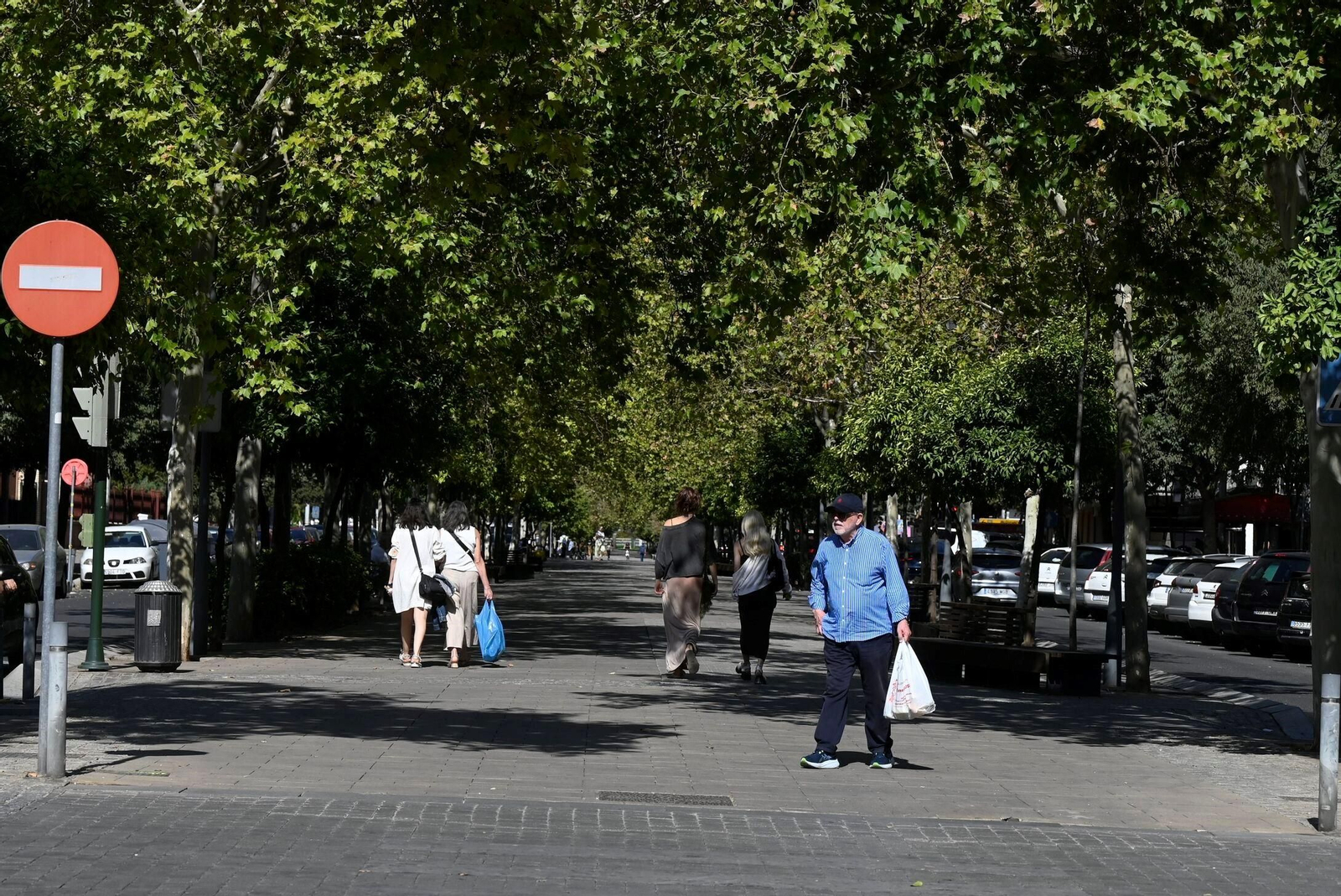 Árboles en la avenida Gran Vía Parque