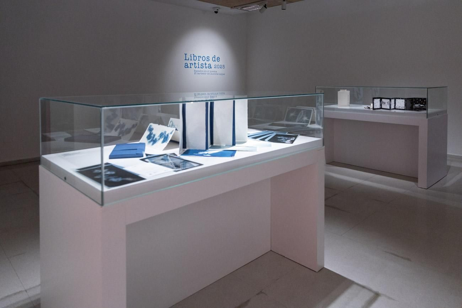 La poesía de Aurora Luque inspira la exposición 'Libros de Artista 2025'