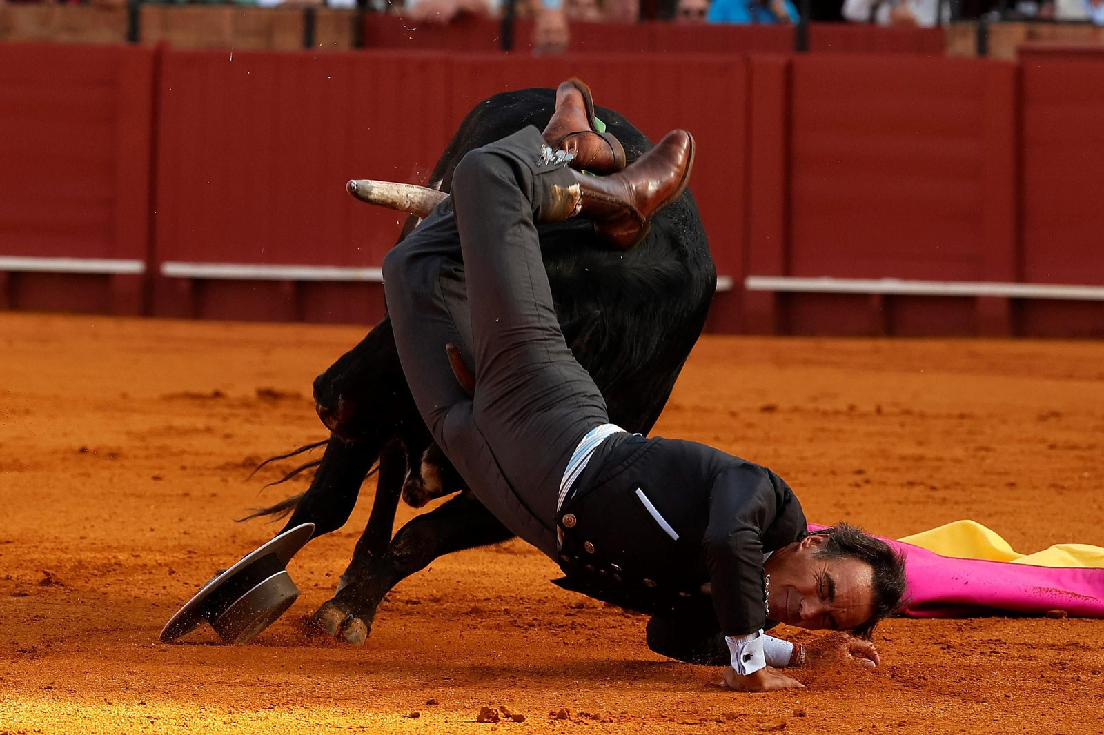 El Cid fue alcanzado por este ejemplar de Espartaco que desarrolló un extraño comportamiento.