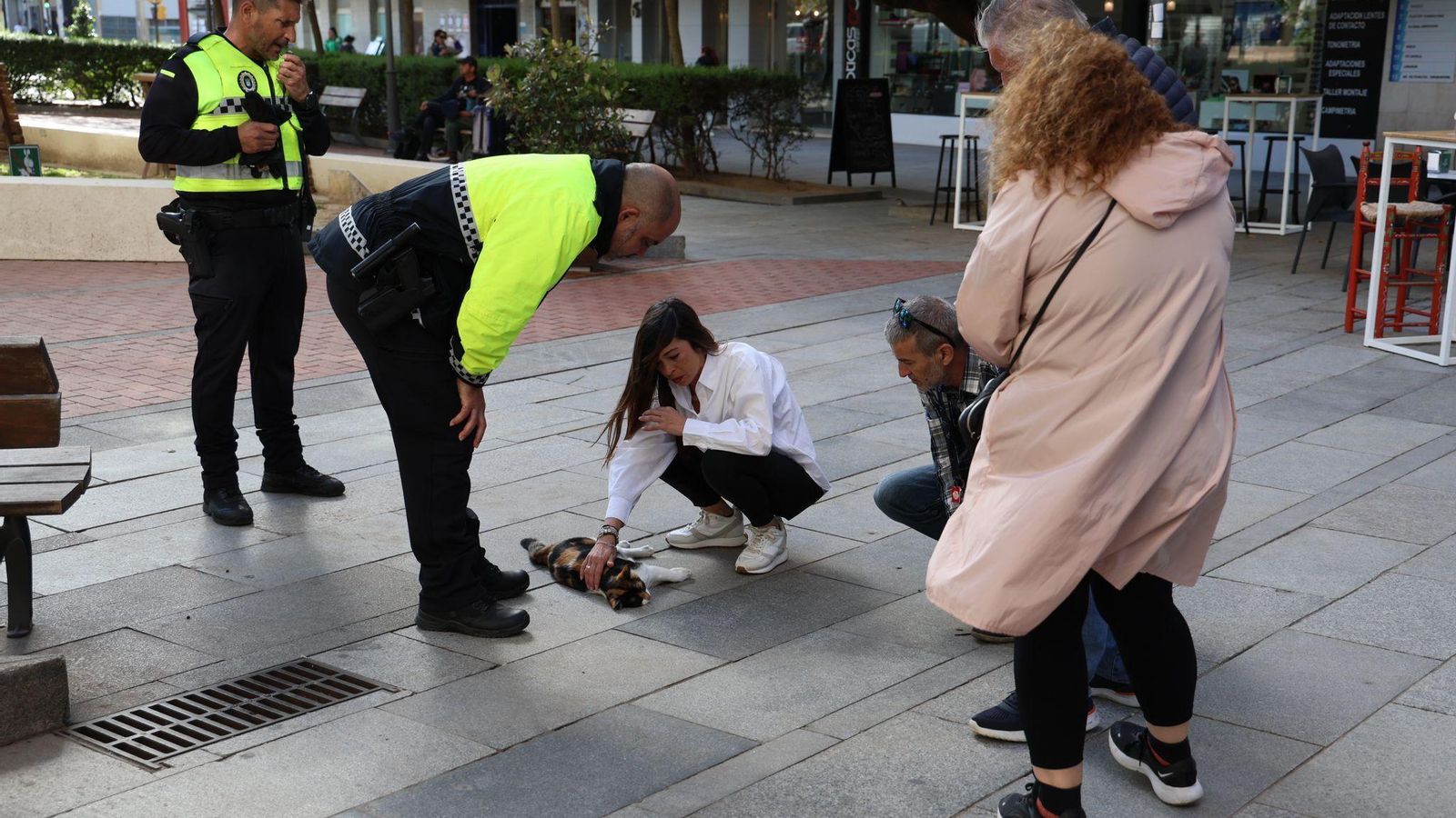 Los onubenses con el gato que ha caído desde la ventana