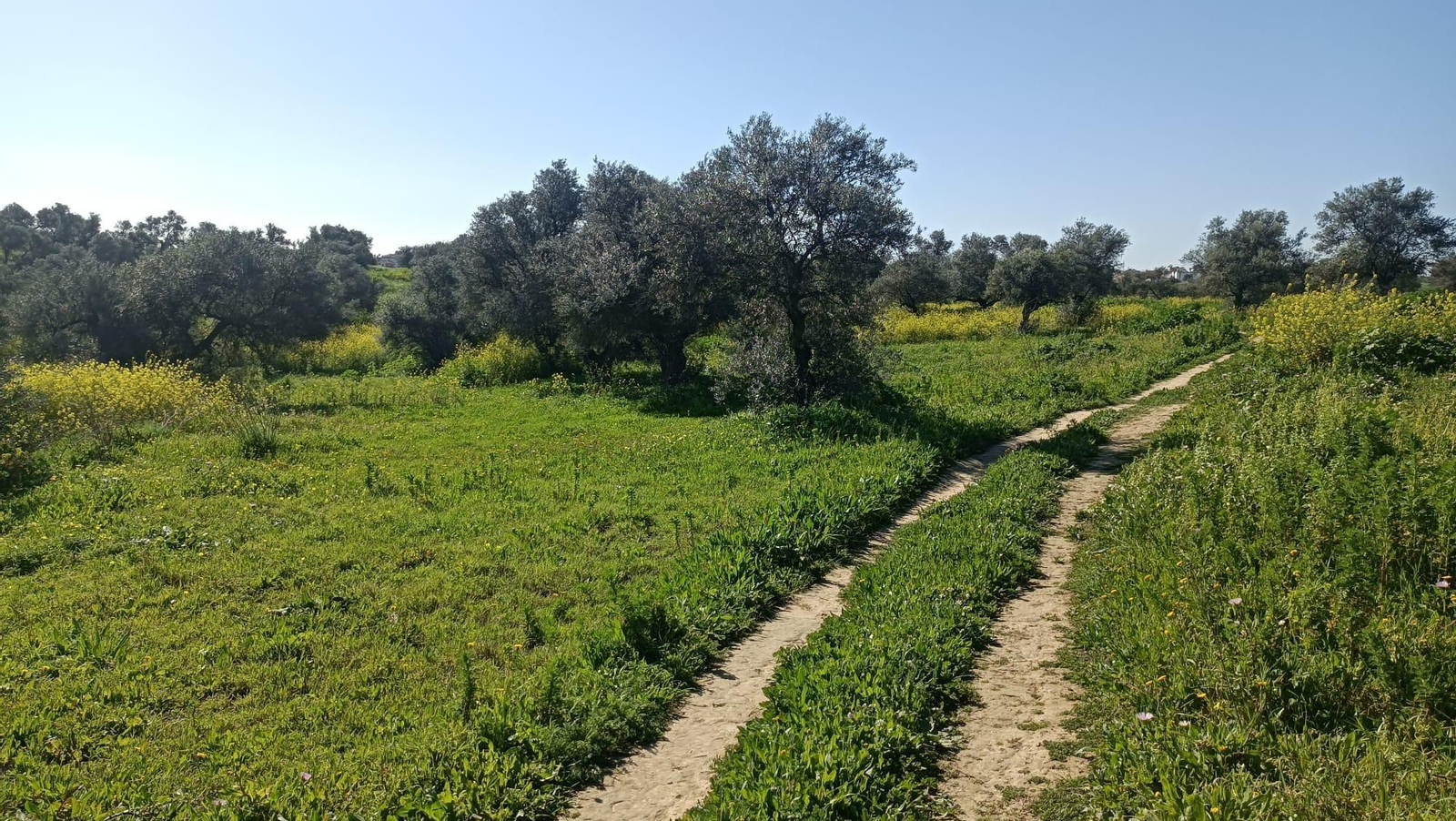El paisaje gana mucho en primavera: mucho más verde.