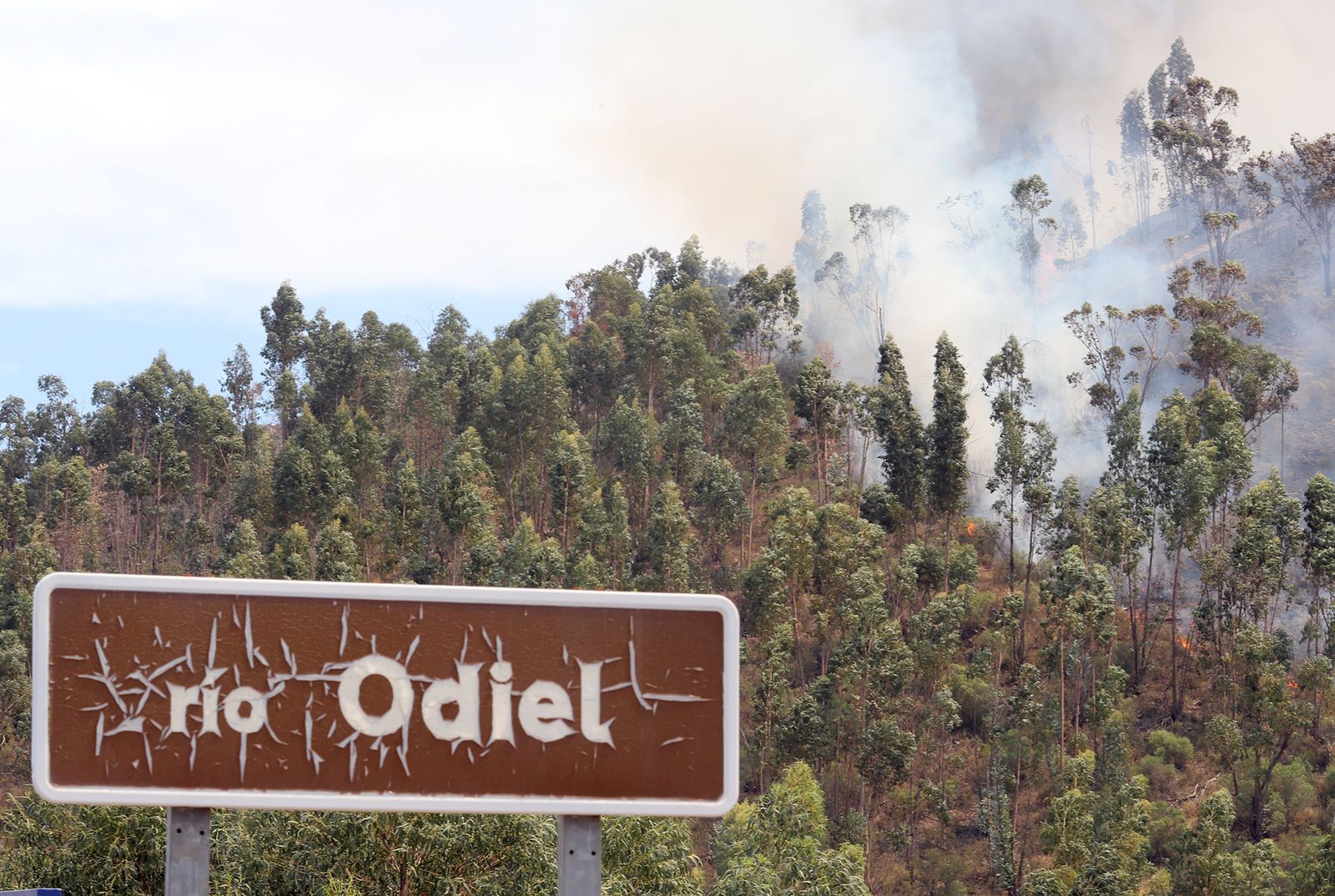 Imágenes de la devastación que deja a su paso el incendio de Almonaster la real.
