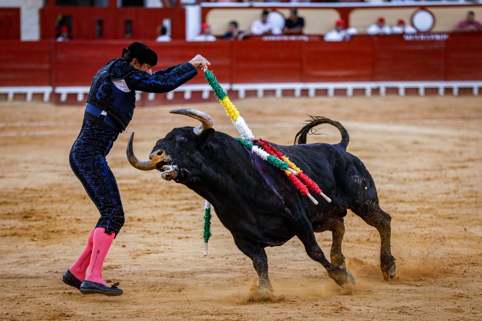 Imágenes de la corrida de toros en El Puerto: Manzanares, Roca Rey y Pablo Aguado