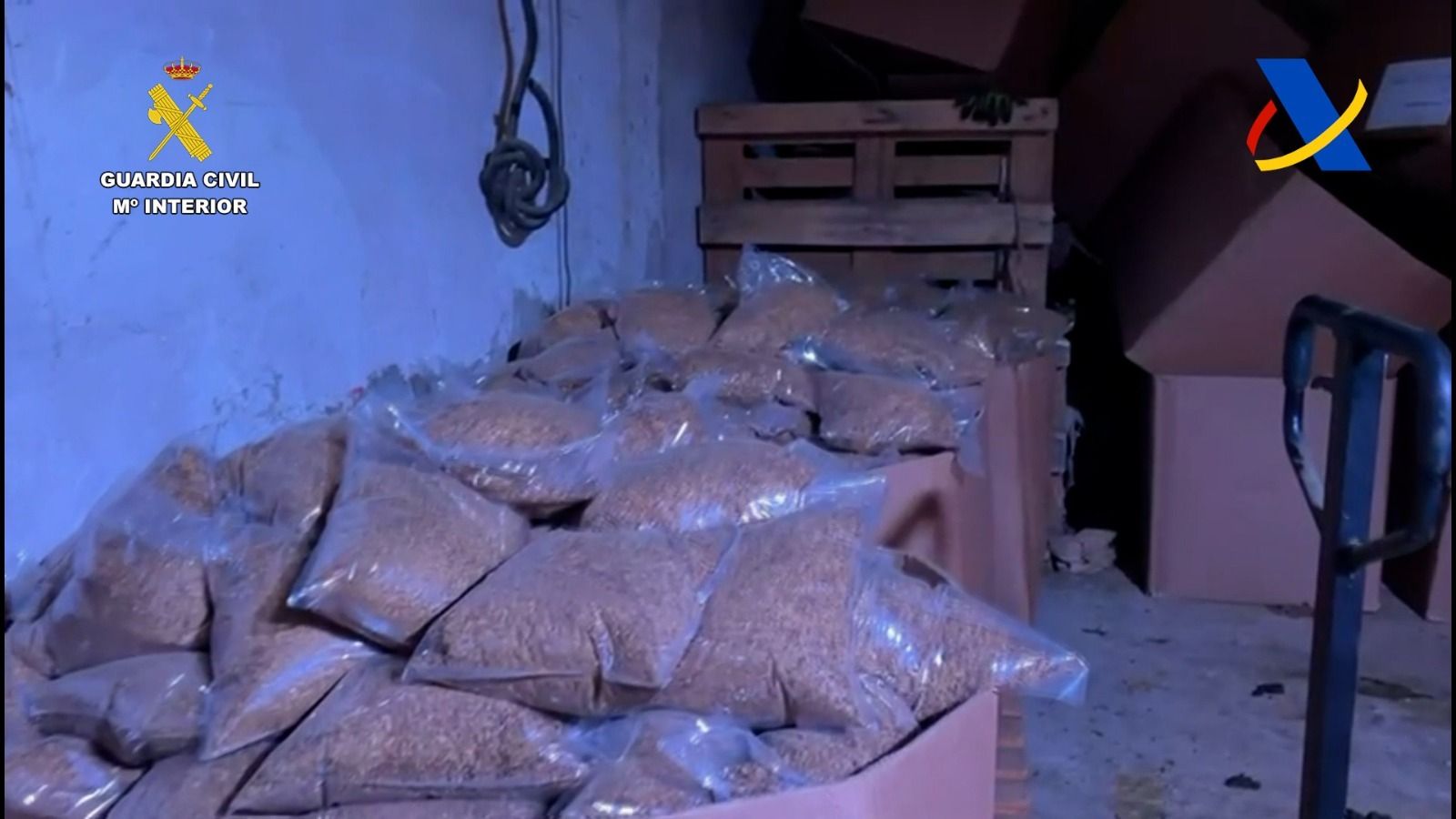 Incautados 2.000 kg de tabaco en Sevilla tras desarticular una organización criminal