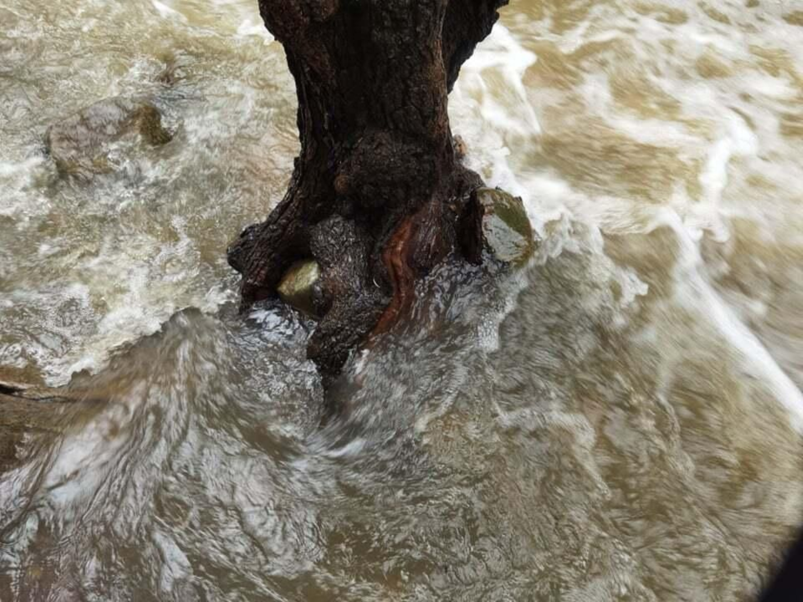 El río de la Miel, tras las últimas lluvias.