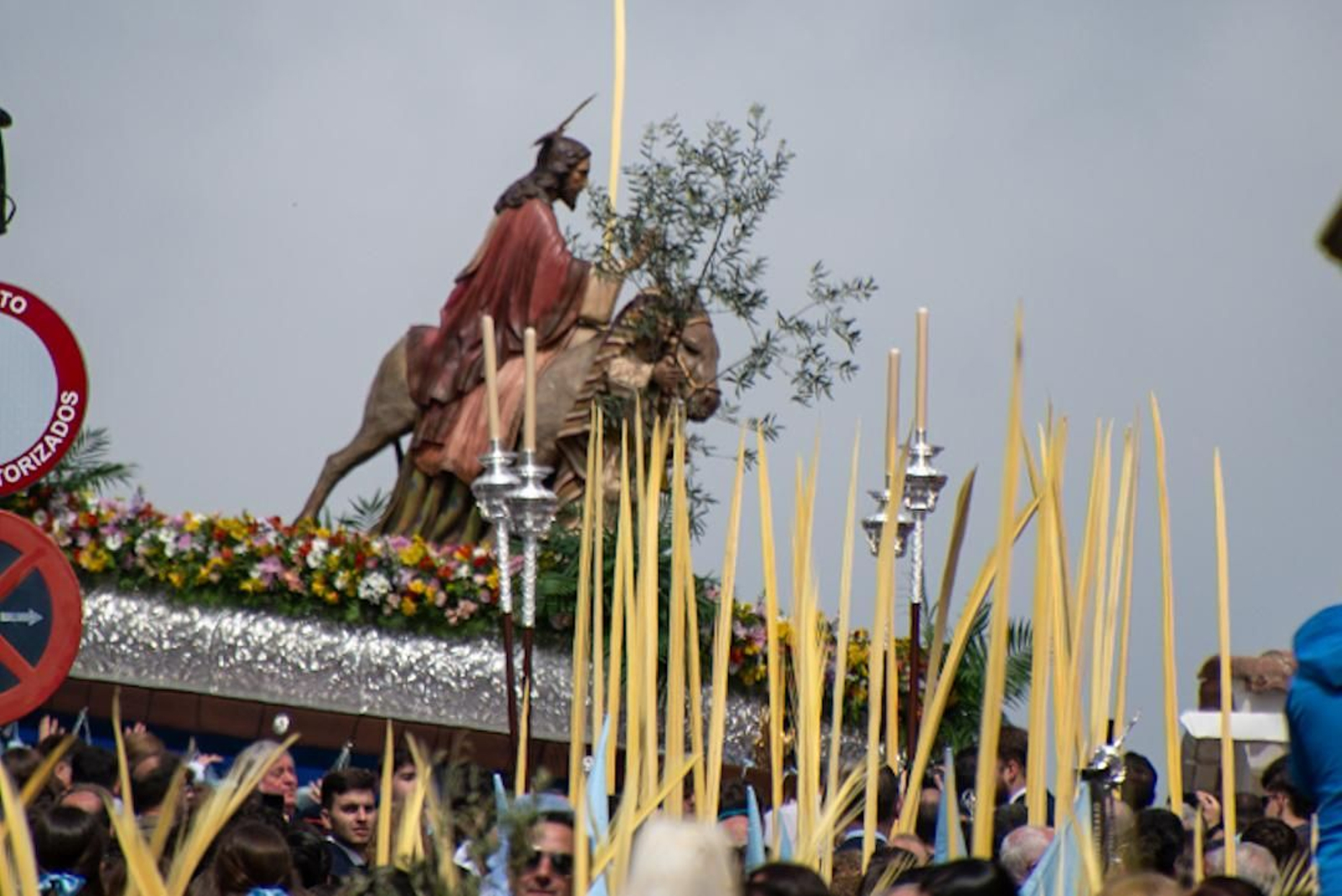 La procesión de la Borriquita de Montilla