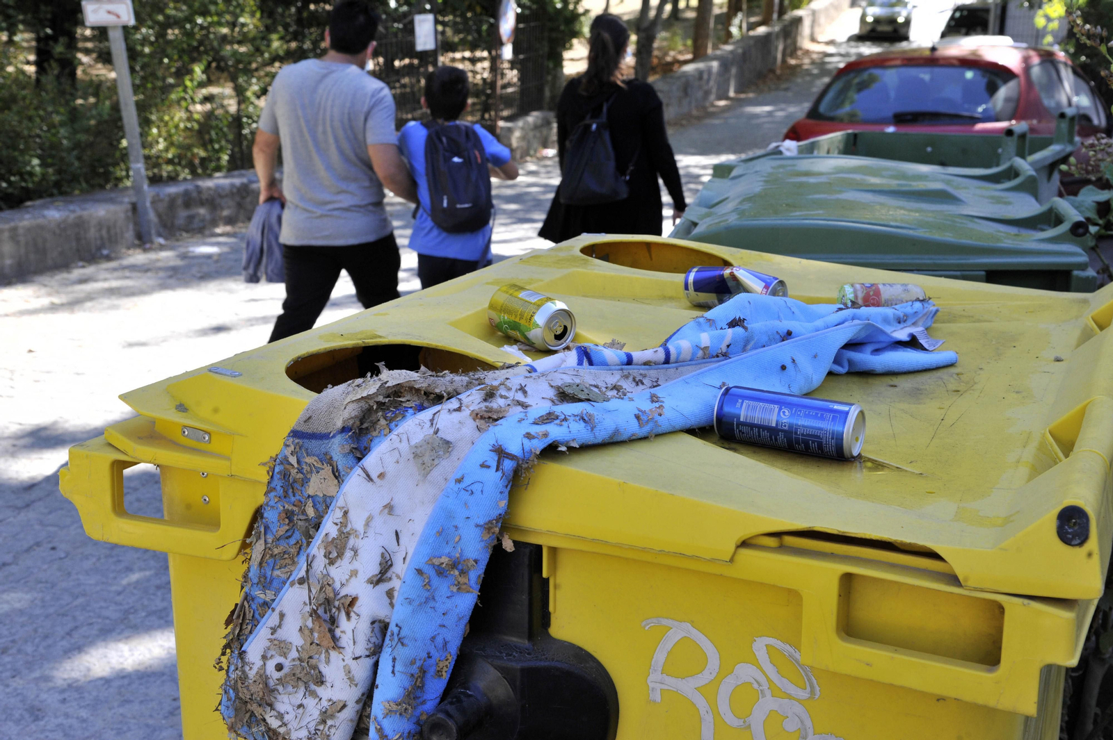 Nuevo lleno de visitantes en El Bosque