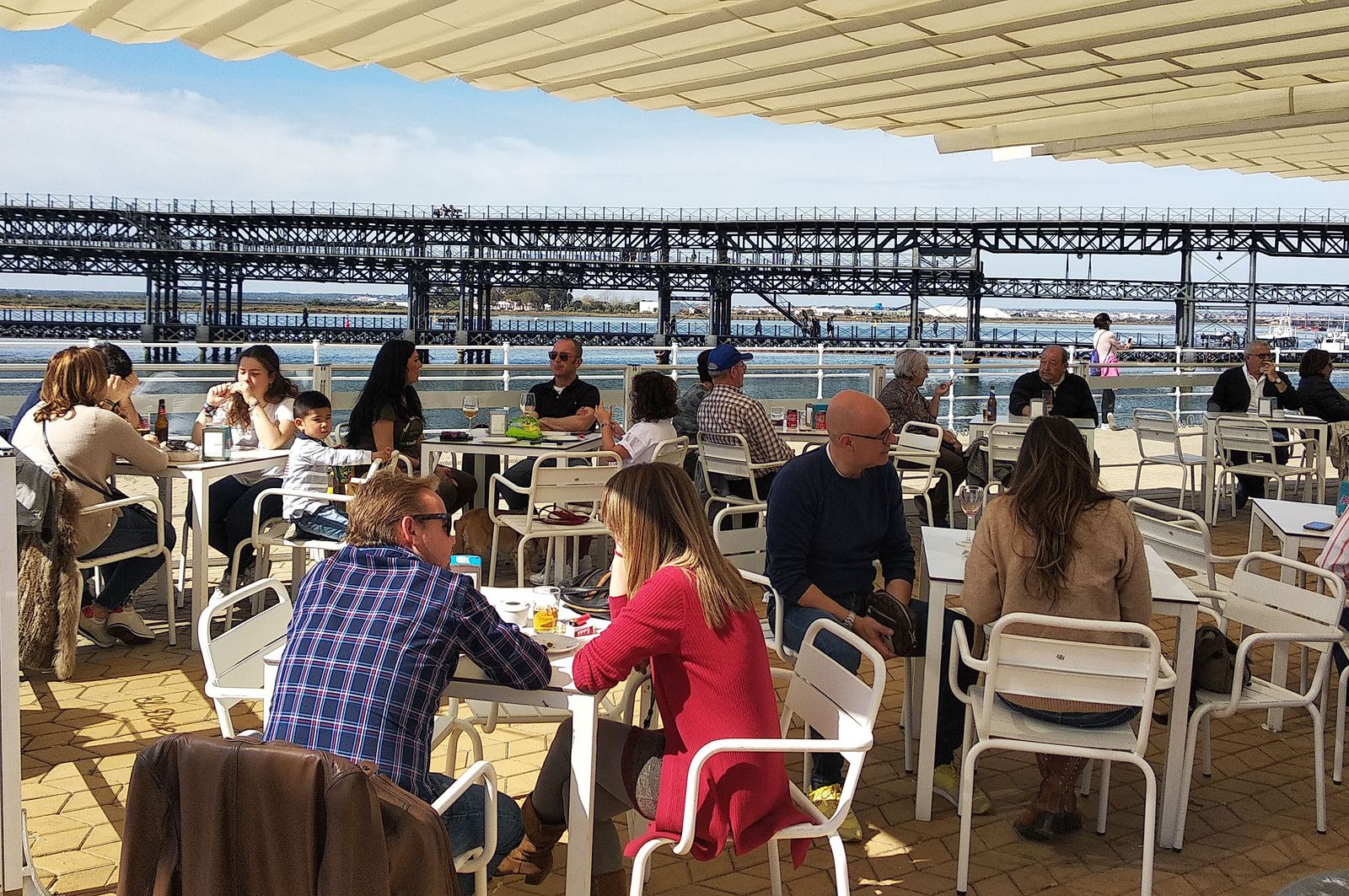 Ambiente primaveral en el día de Andalucía, en imágenes