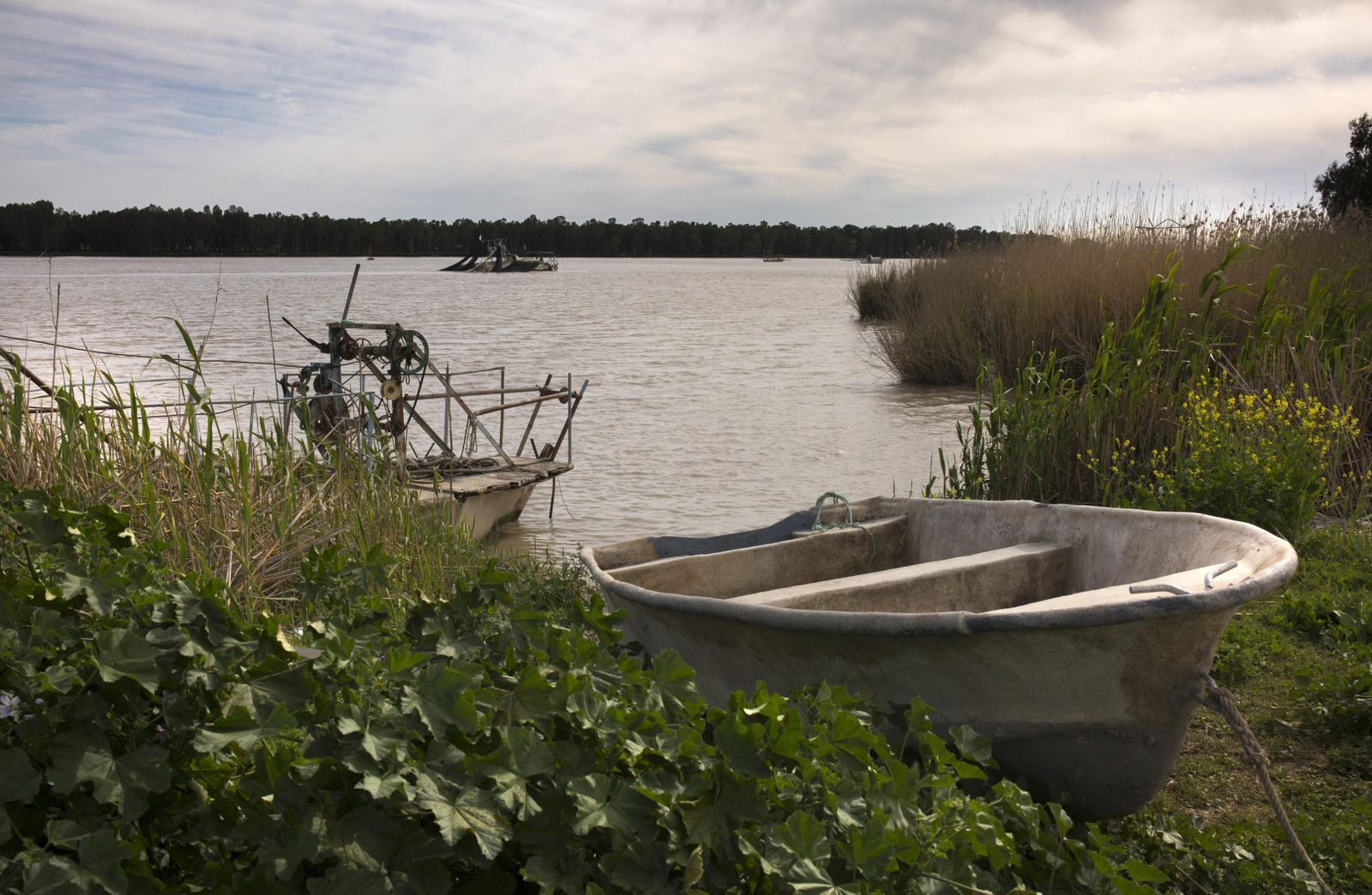 Del Guadalquivir a China