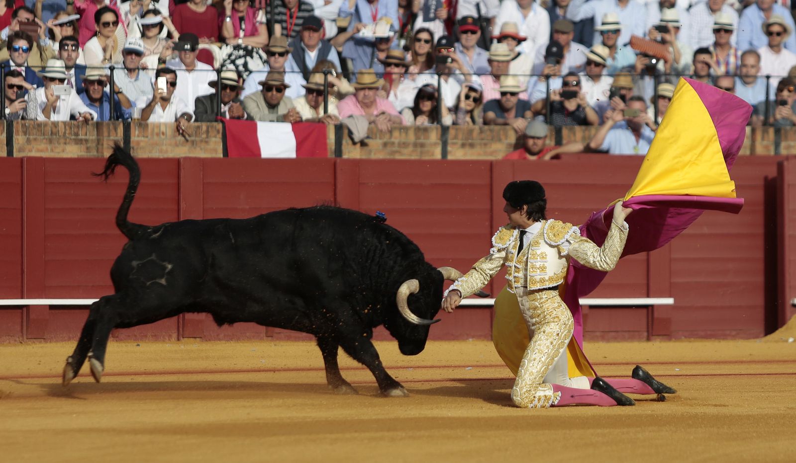 Las imágenes de la undécima de abono de la Maestranza