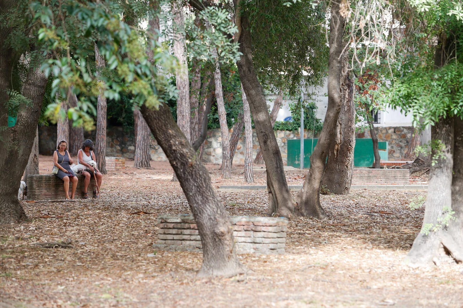 Fotos del Parque de las Acacias, en Villa Smith