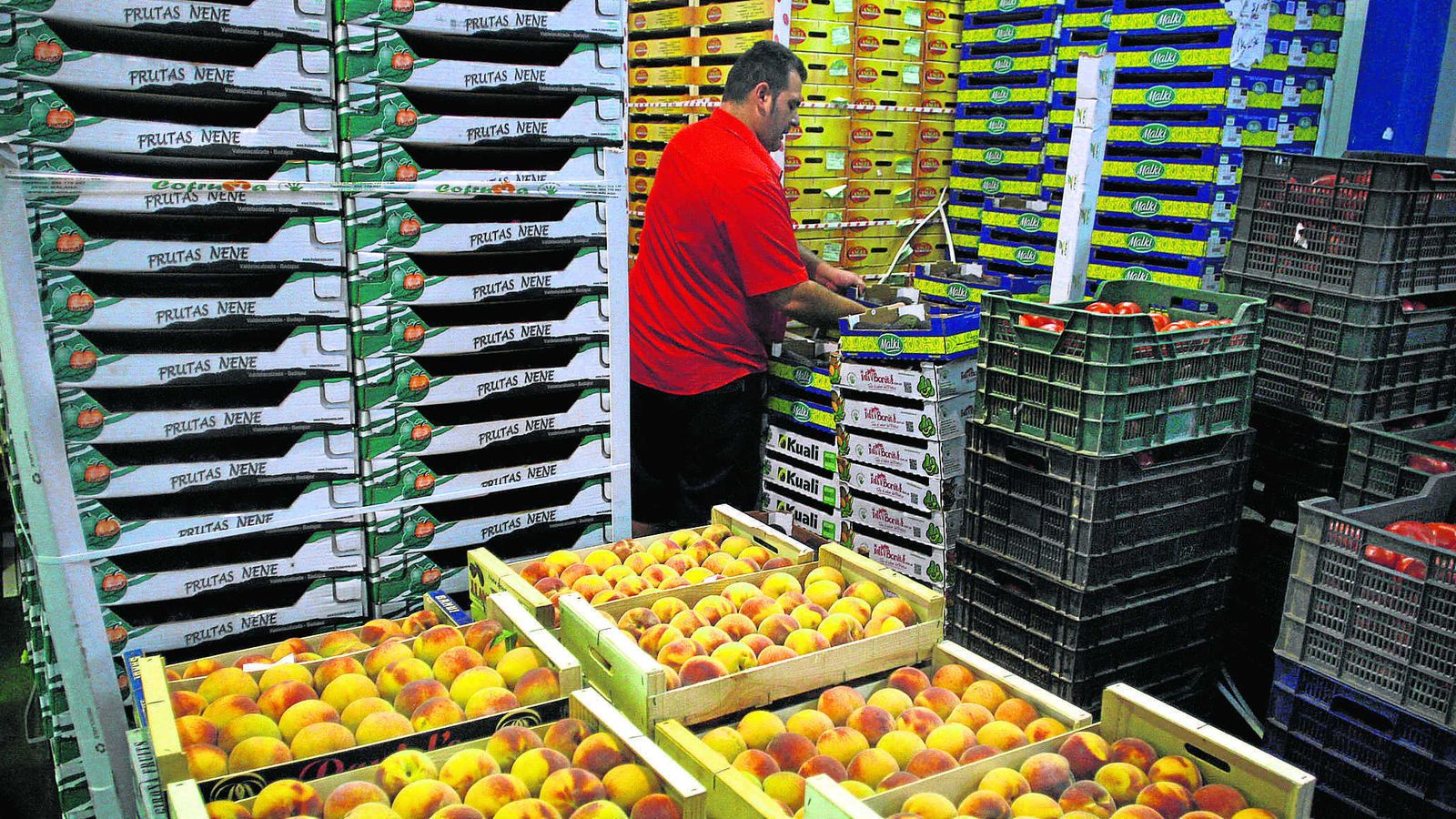 Cajas de fruta en Mercamálaga, en una imagen de archivo.