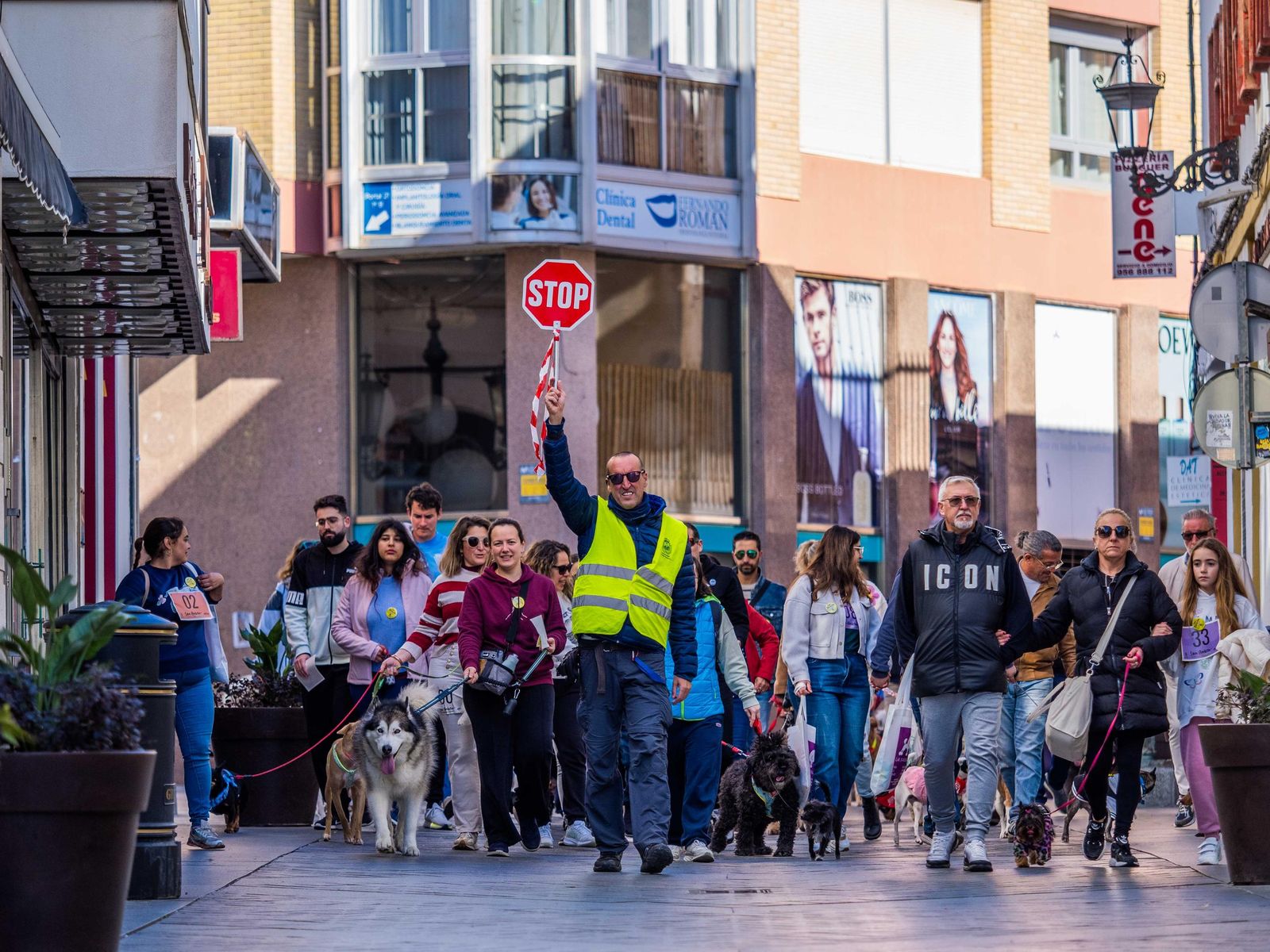 Las imágenes de San Antón 2025 en San Fernando