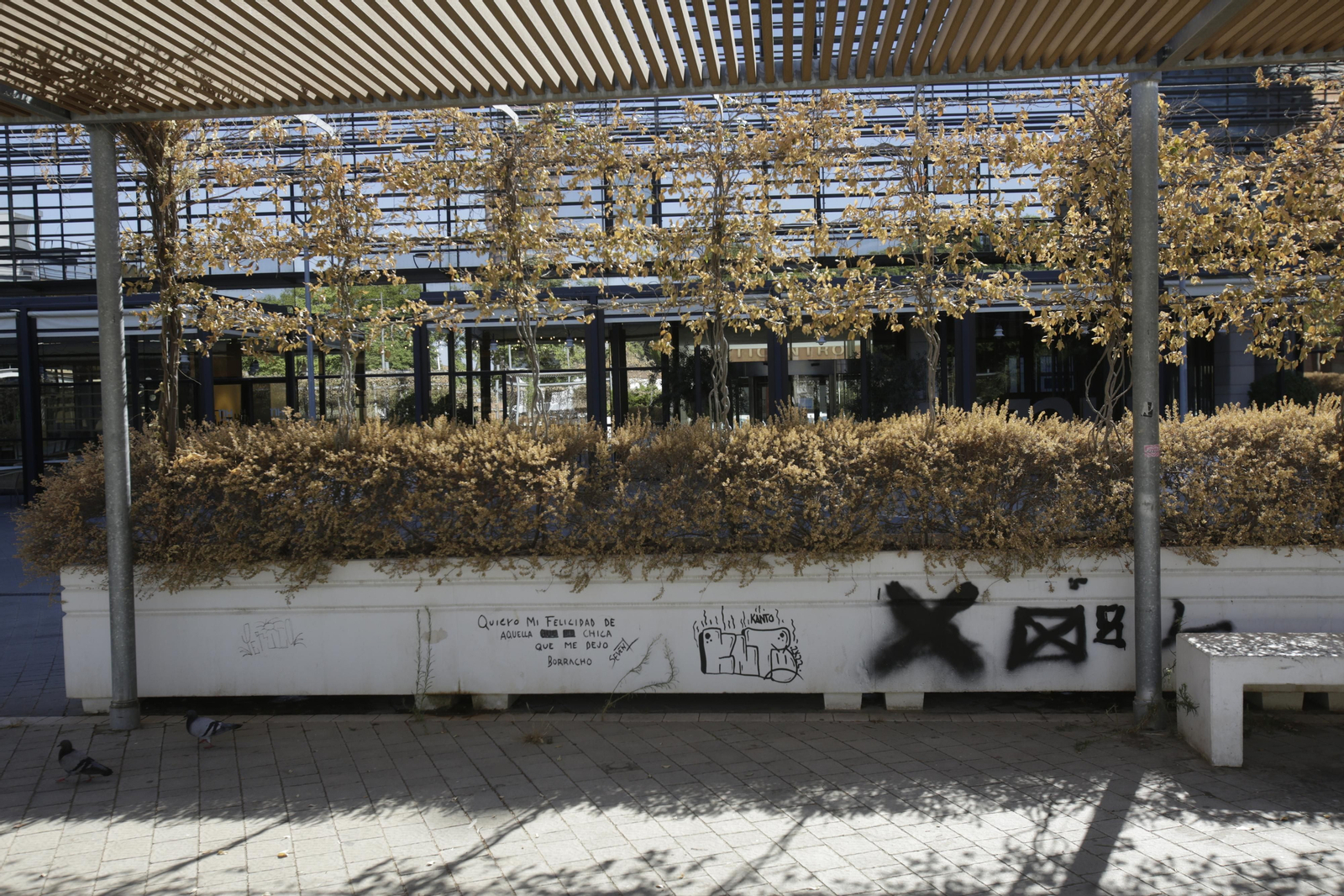 Abandono y mal estado de la plaza entre Mercadona y Plaza de Armas