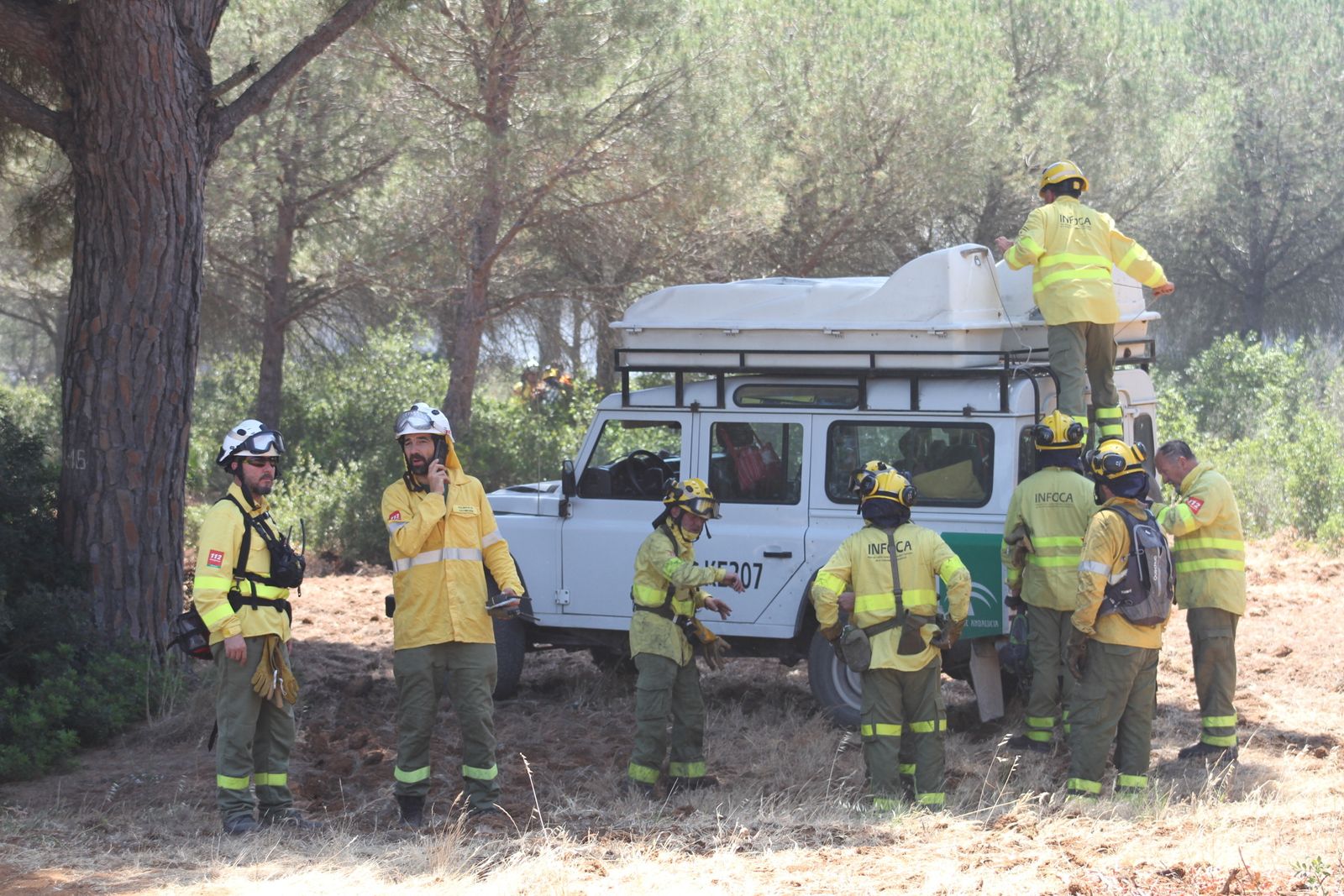 El incendio en el pinar de Roche, en imágenes