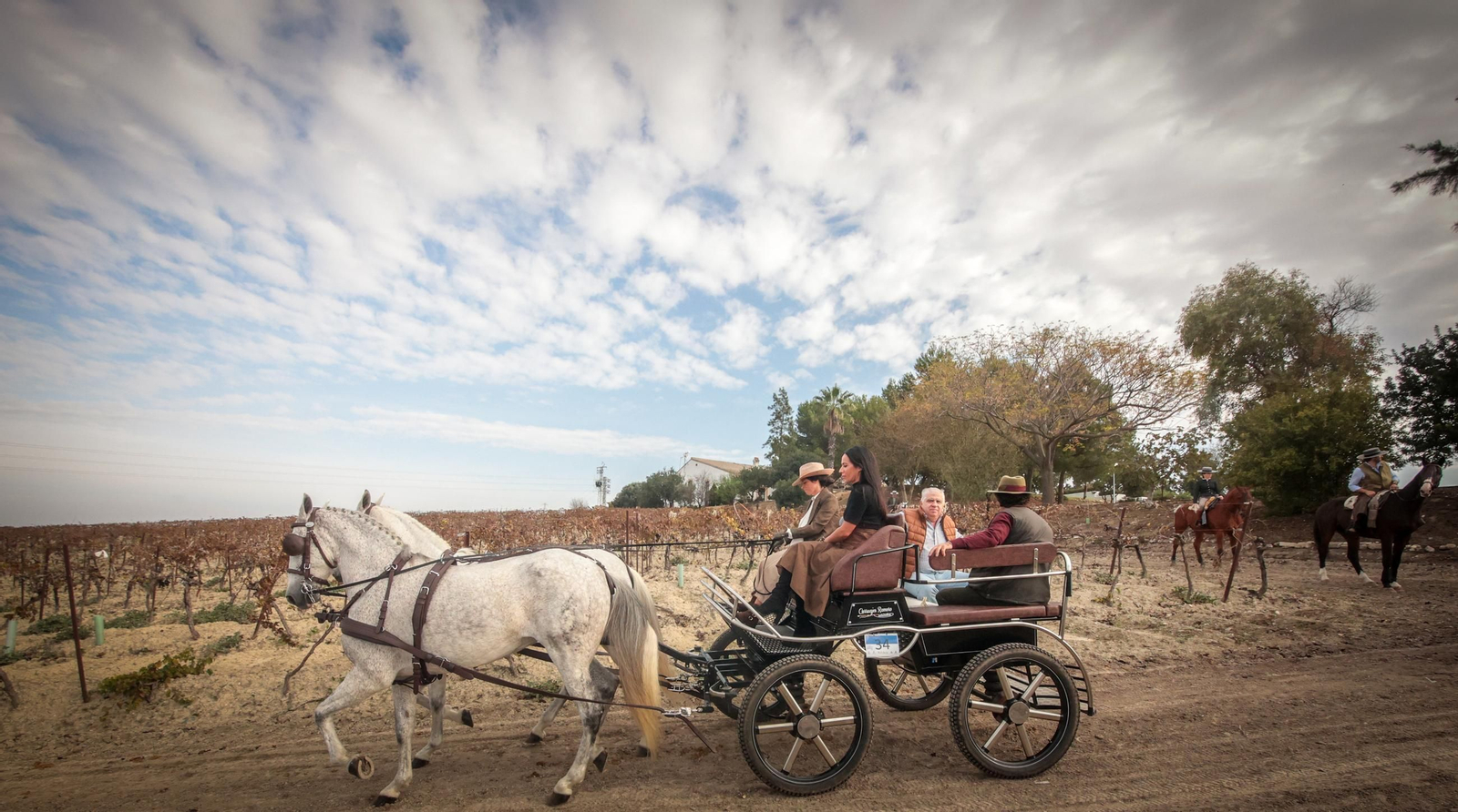 Búscate en la III Ruta Viñas de Jerez de Enganches