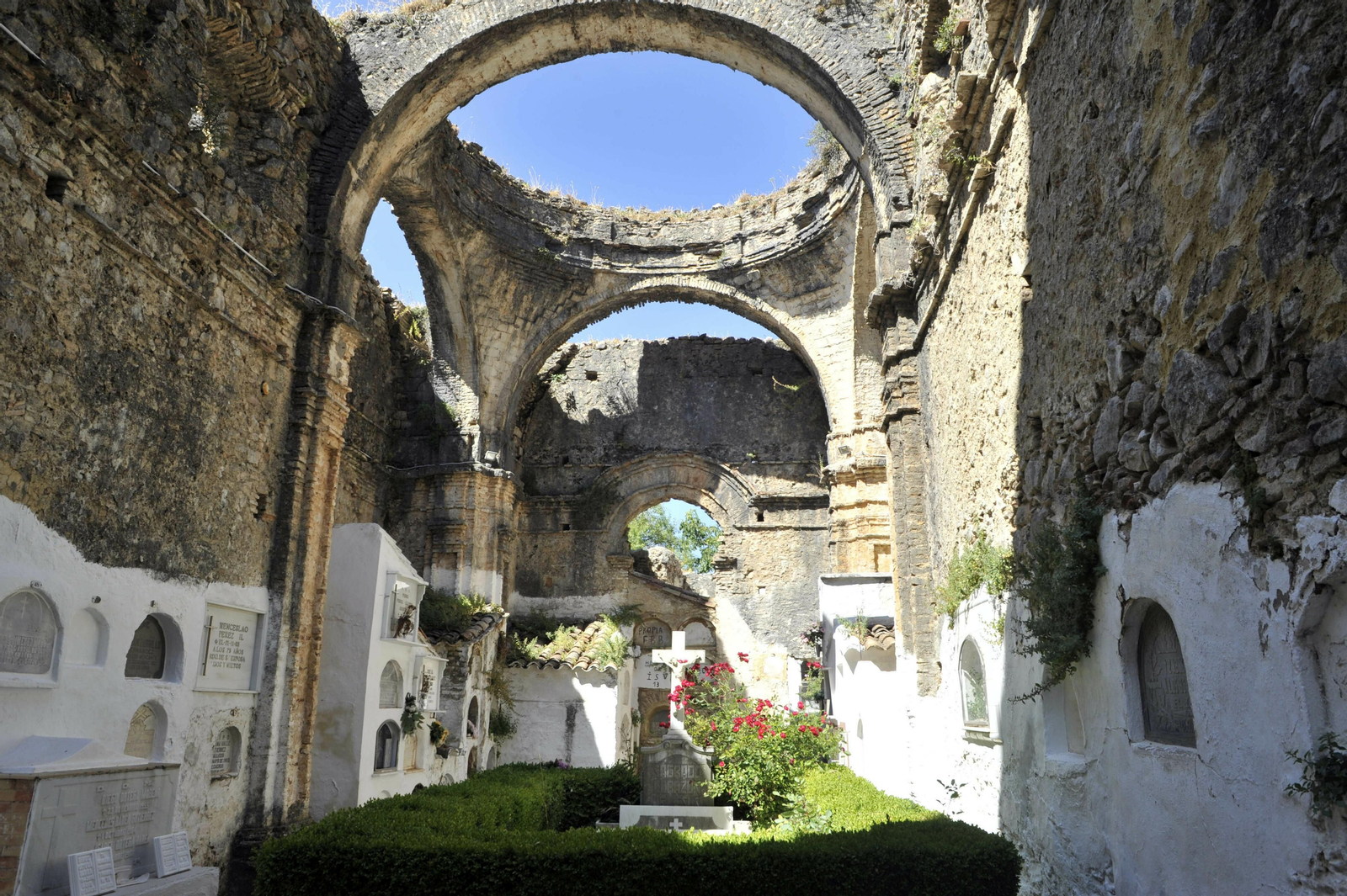 Imágenes del cementerio de Villaluenga