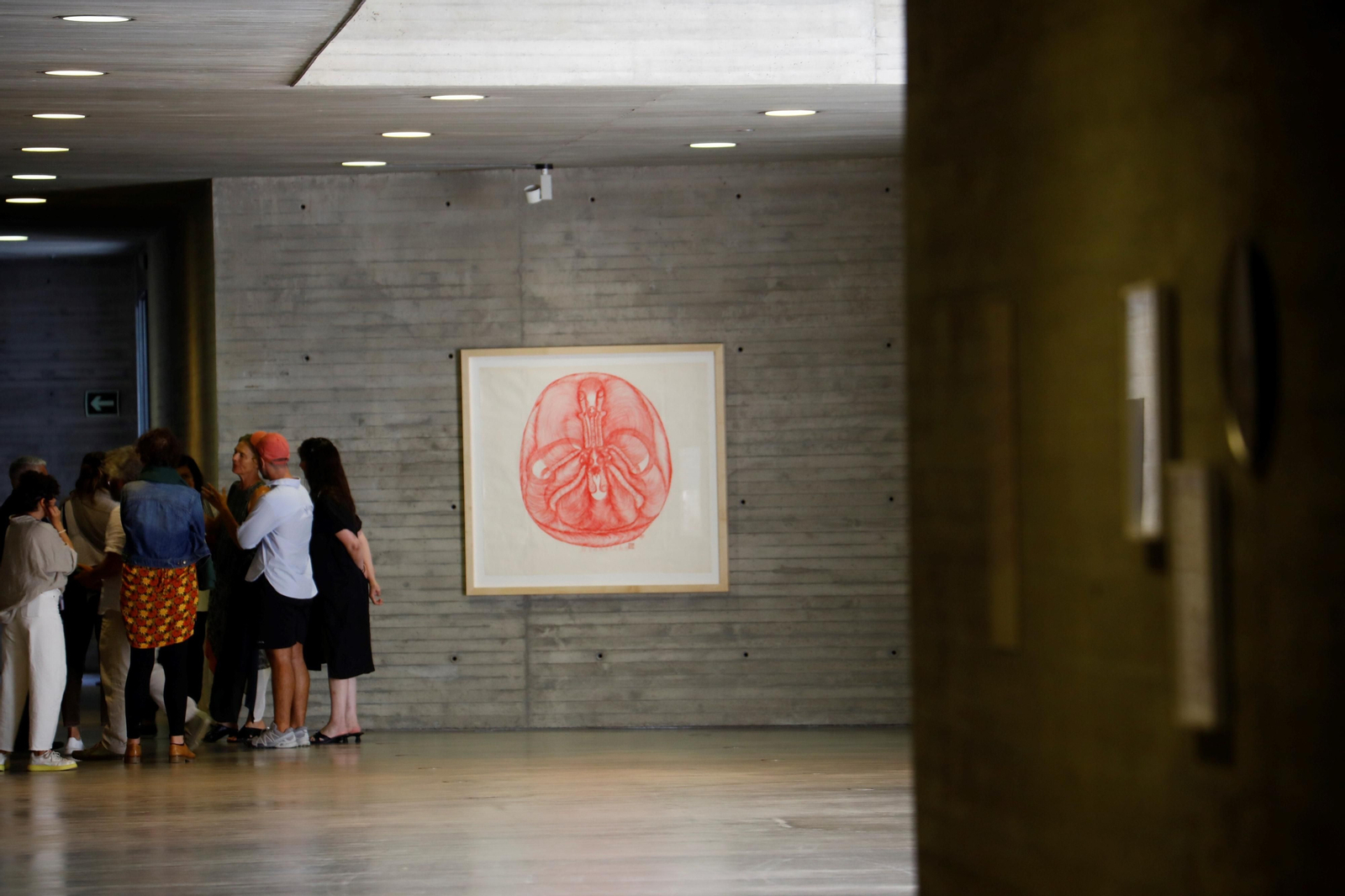 Las imágenes de la exposición 'Remedios: por los caminos ancestrales' en el C3A de Córdoba