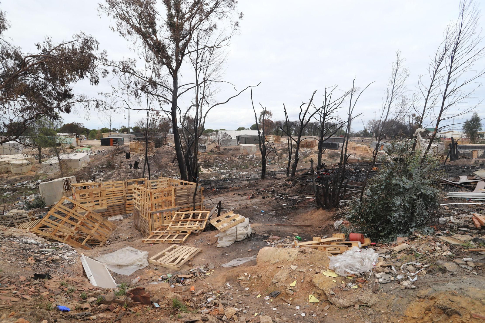 Imágenes del incendio de un asentamiento en Palos de la Frontera, donde falleció un joven de 23 años