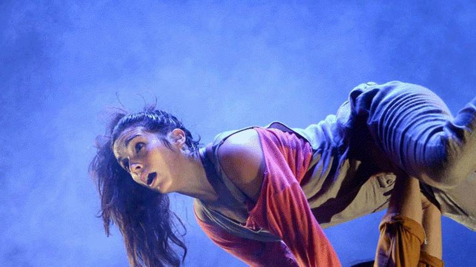 'Lar. La casa, el hogar'.