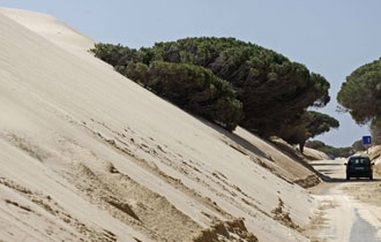 La Junta dice que los trazados alternativos para la duna de Valdevaqueros no sirven