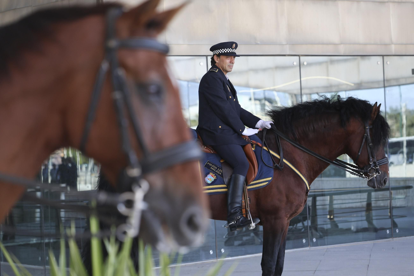 Los actos de la Policía Local de Málaga por el día de su patrón, en fotos