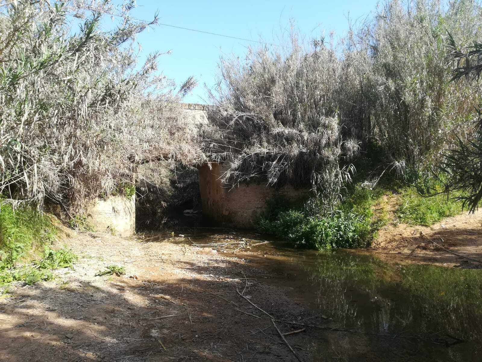 La ruta del Río Pudio por Espartinas, en imágenes