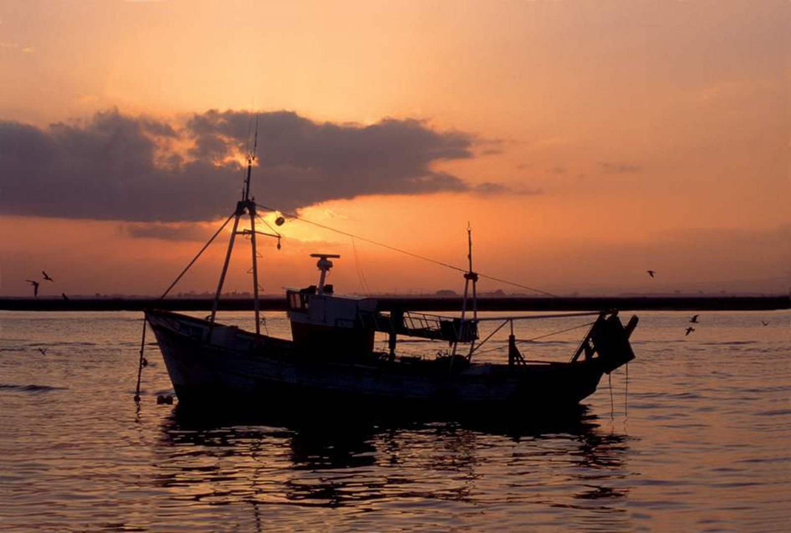 ¿Qué son esas luces que vemos en el mar cuando cae la noche en la playa de Islantilla?