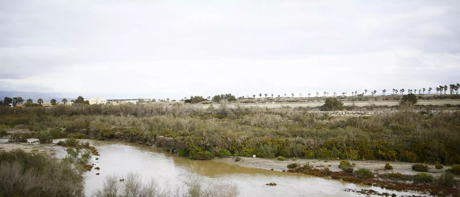 El río Andarax este miércoles en su desembocadura en Almería.