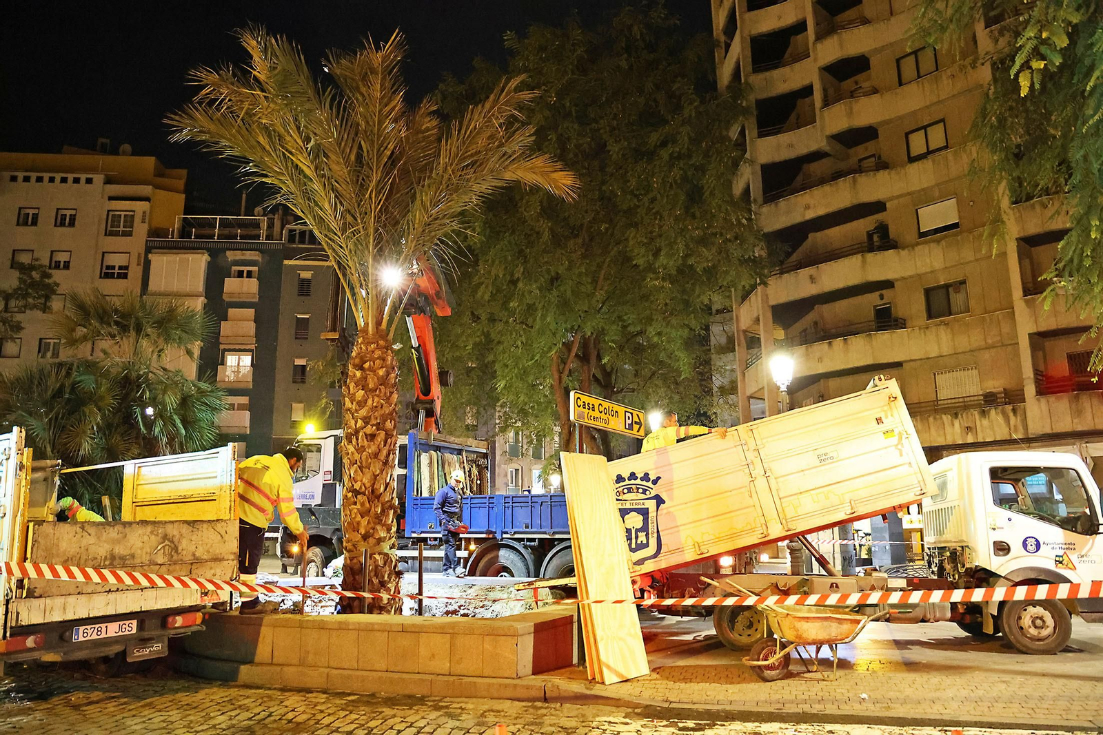 Las mejores imágenes de la plantación de la nueva palmera de Huelvaga