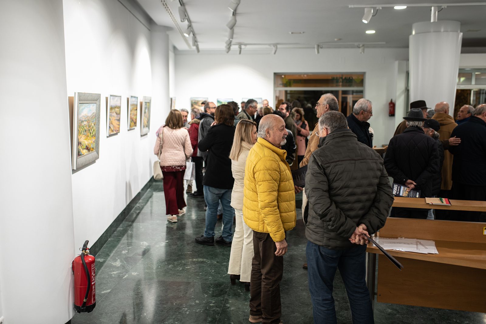 Imágenes de la inauguración de la exposción "Paisajes" de Pilar Barroso