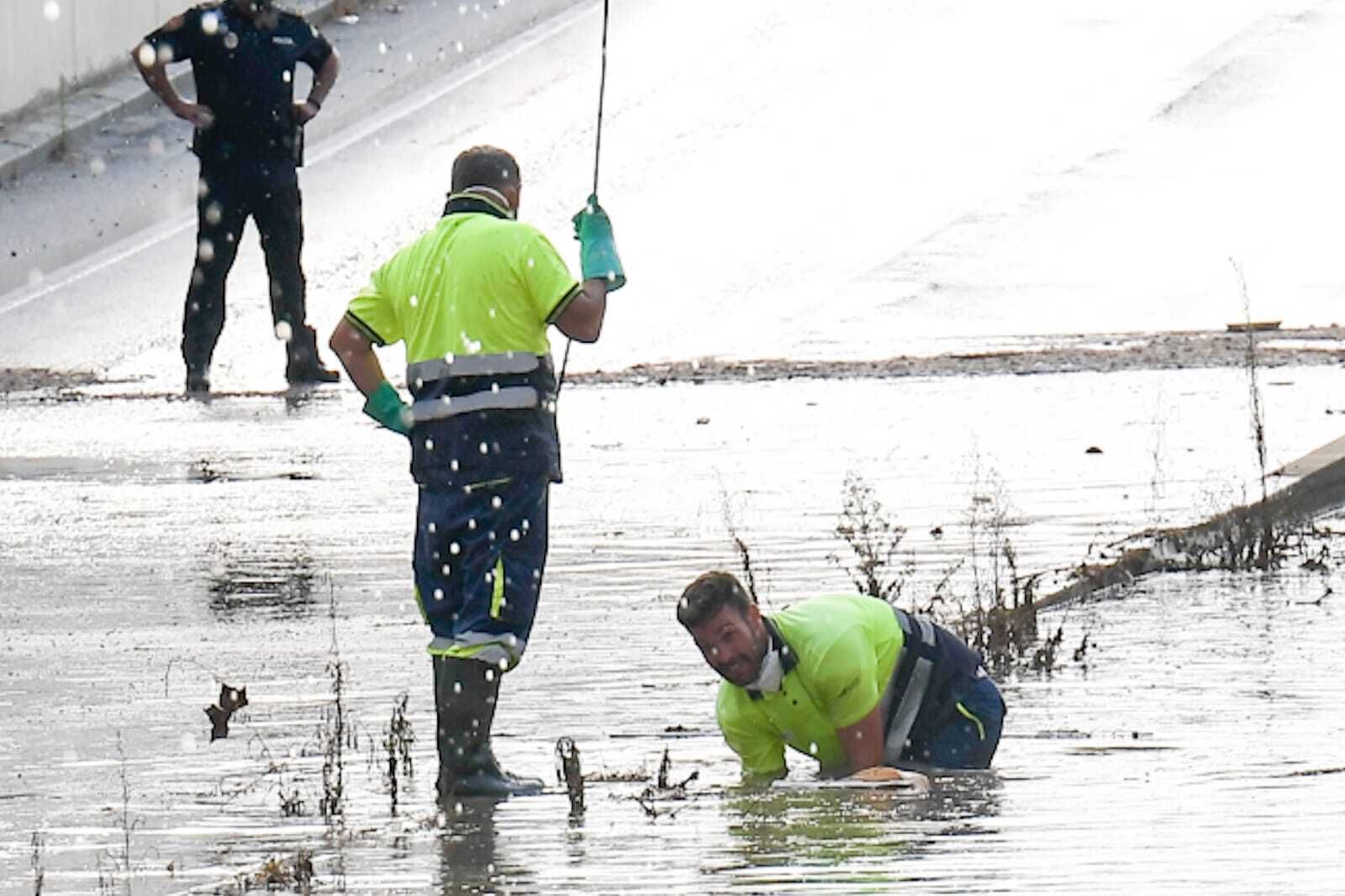 Fotos de la tormenta de verano en Granada y su Área Metropolitana