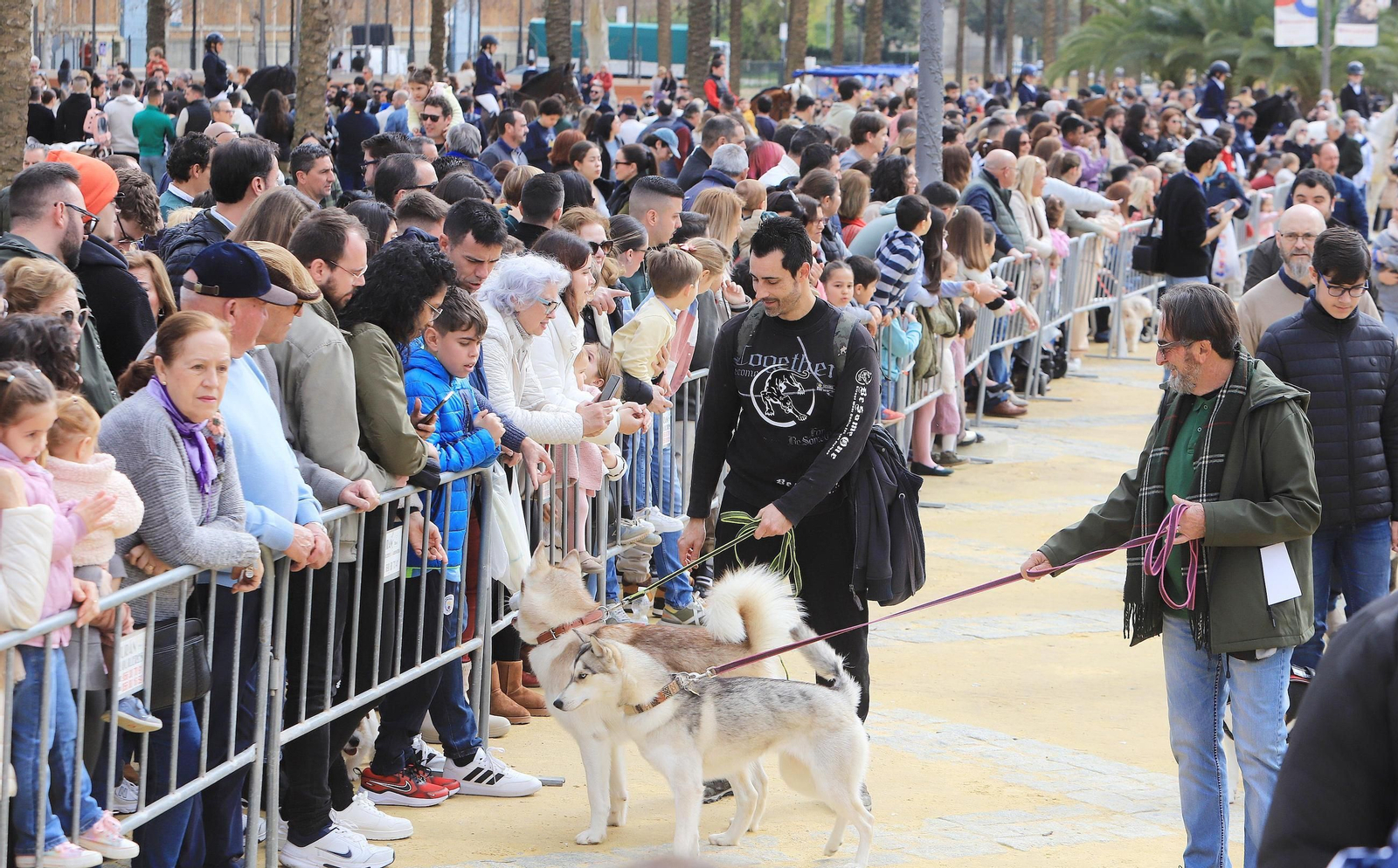 Jerez celebra San Antón 2025