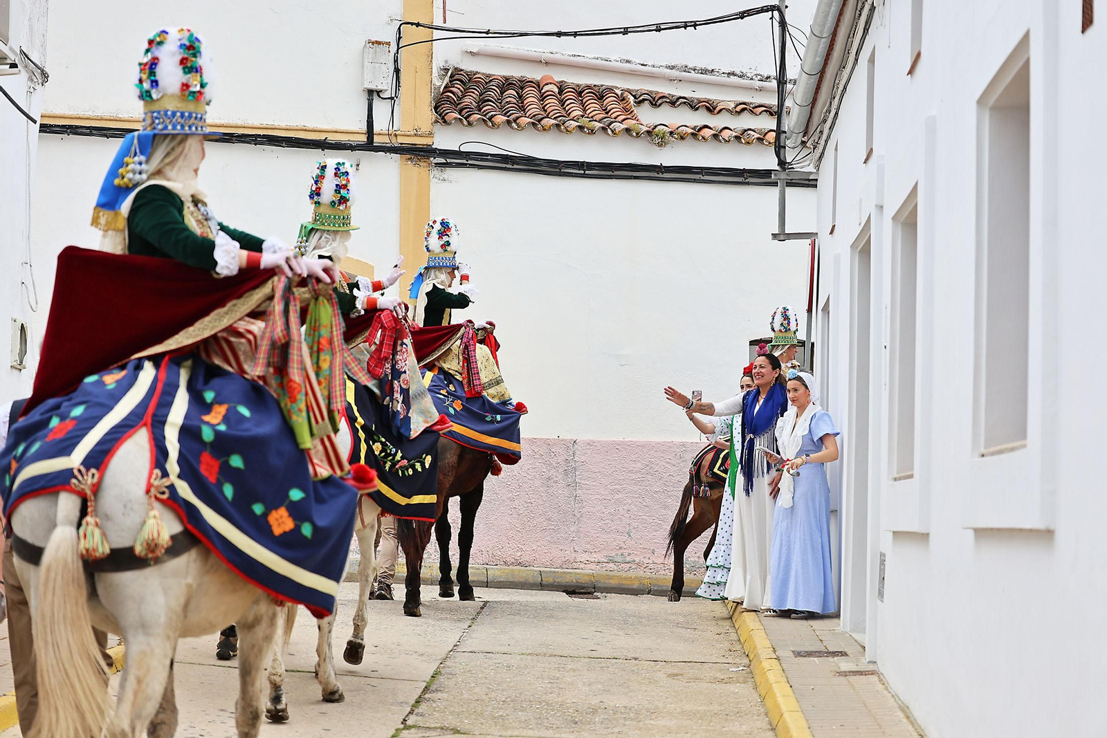 Las imágenes de la romería de San Benito Abad en el Cerro del Andévalo de Huelva