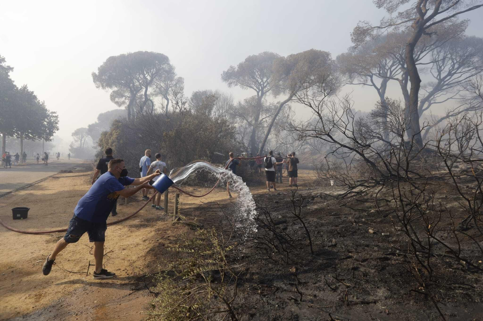 El fuego arrasa Las Canteras en Puerto Real