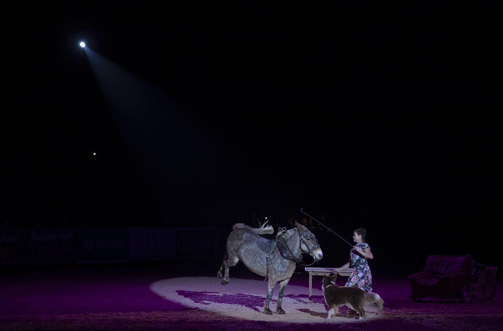 El espectáculo del SICAB 2019, en imágenes