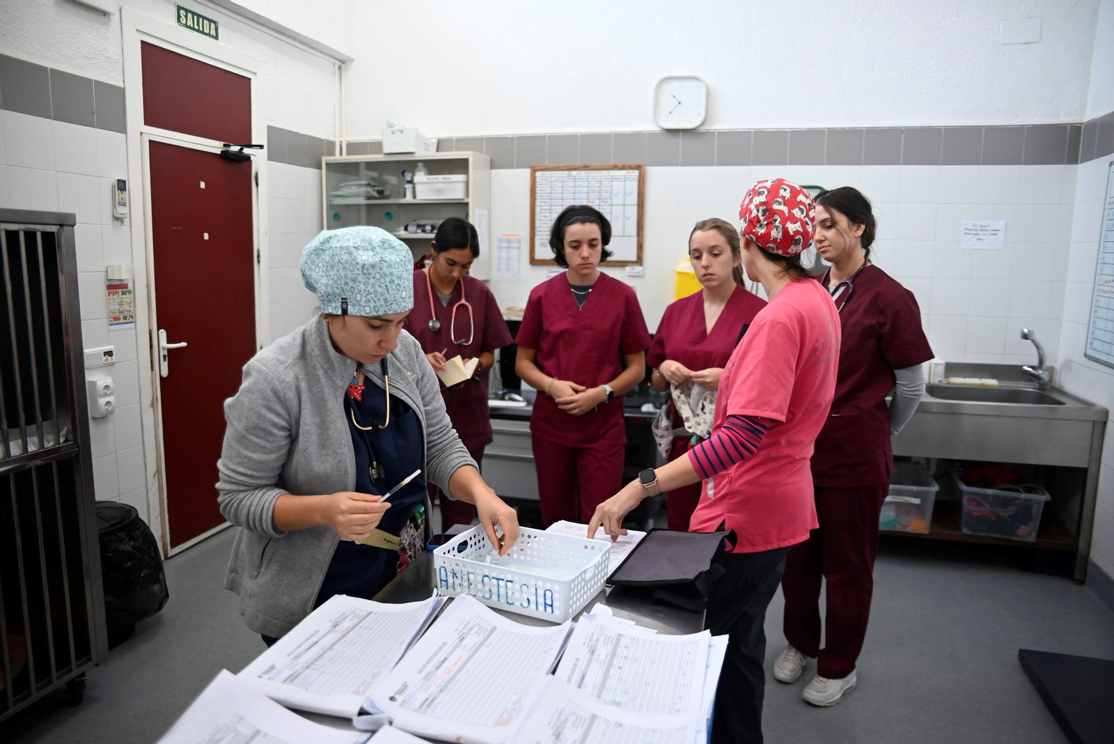 El Hospital Veterinario de la Universidad de Córdoba, en imágenes