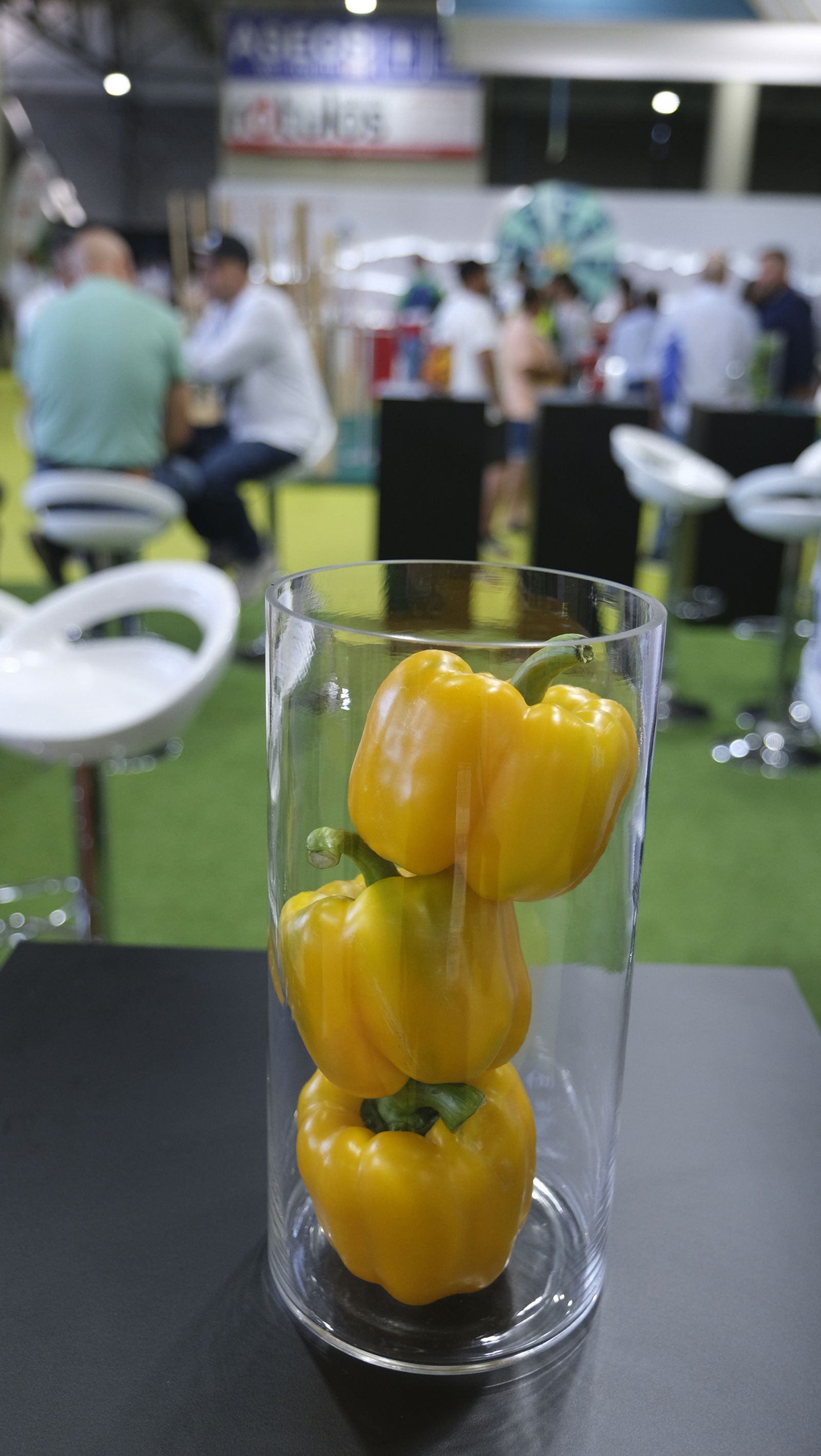 Imágenes de la Infoagro Almería 2023, en su segunda jornada