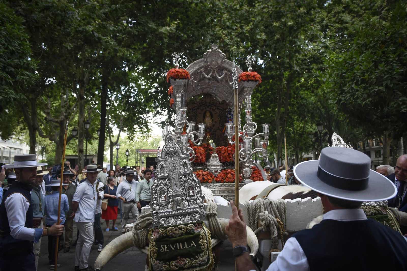 Las imágenes de la salida de la Hermandad del Rocío de Sevilla