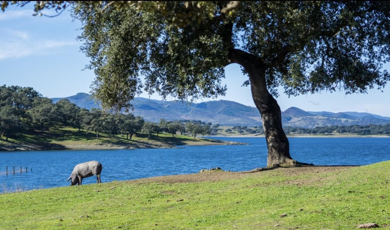¿Por qué se llama Sierra de Aracena y no Sierra de Huelva?