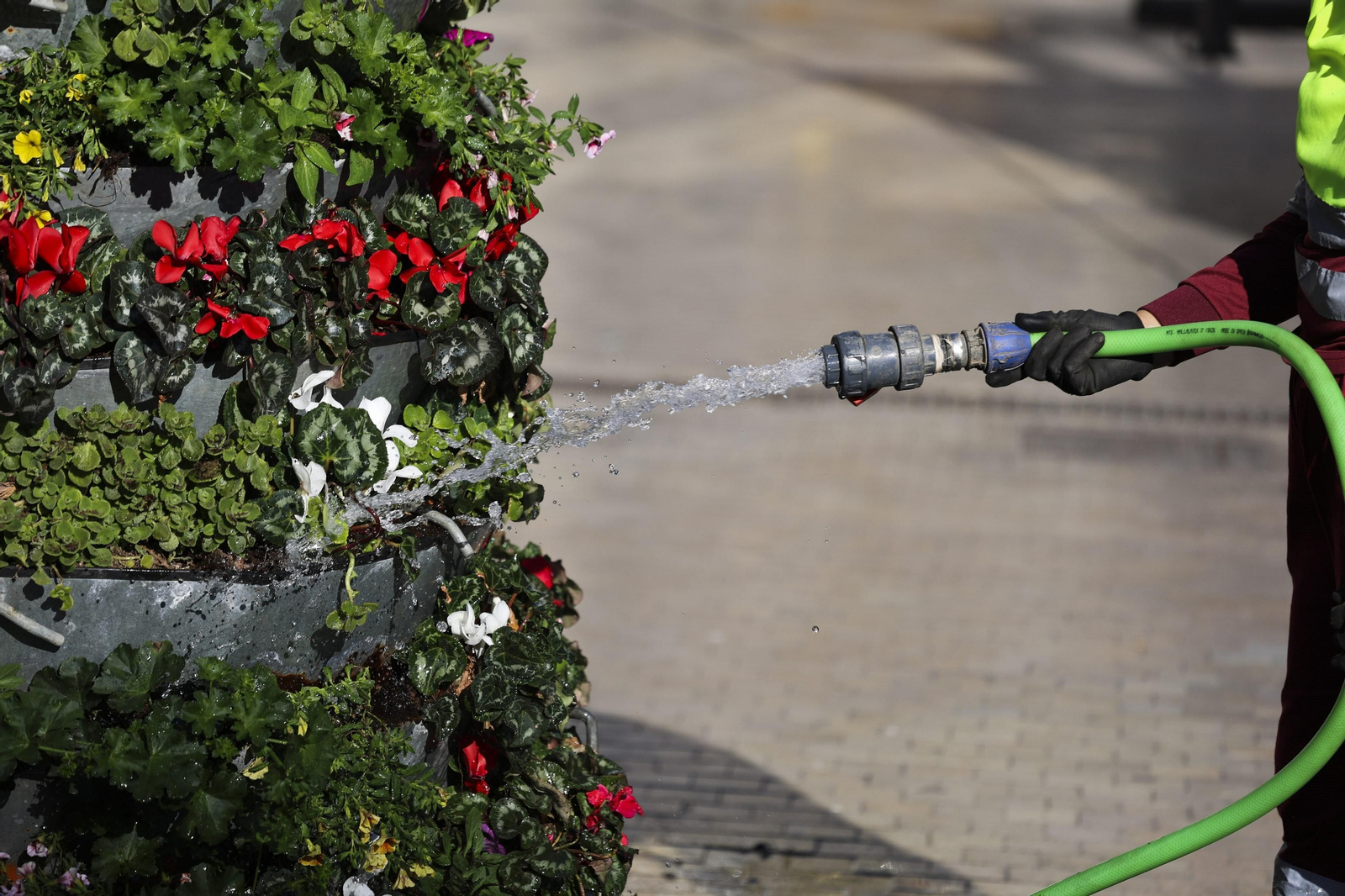 Un jardinero municipal riega un macetón público en Málaga.