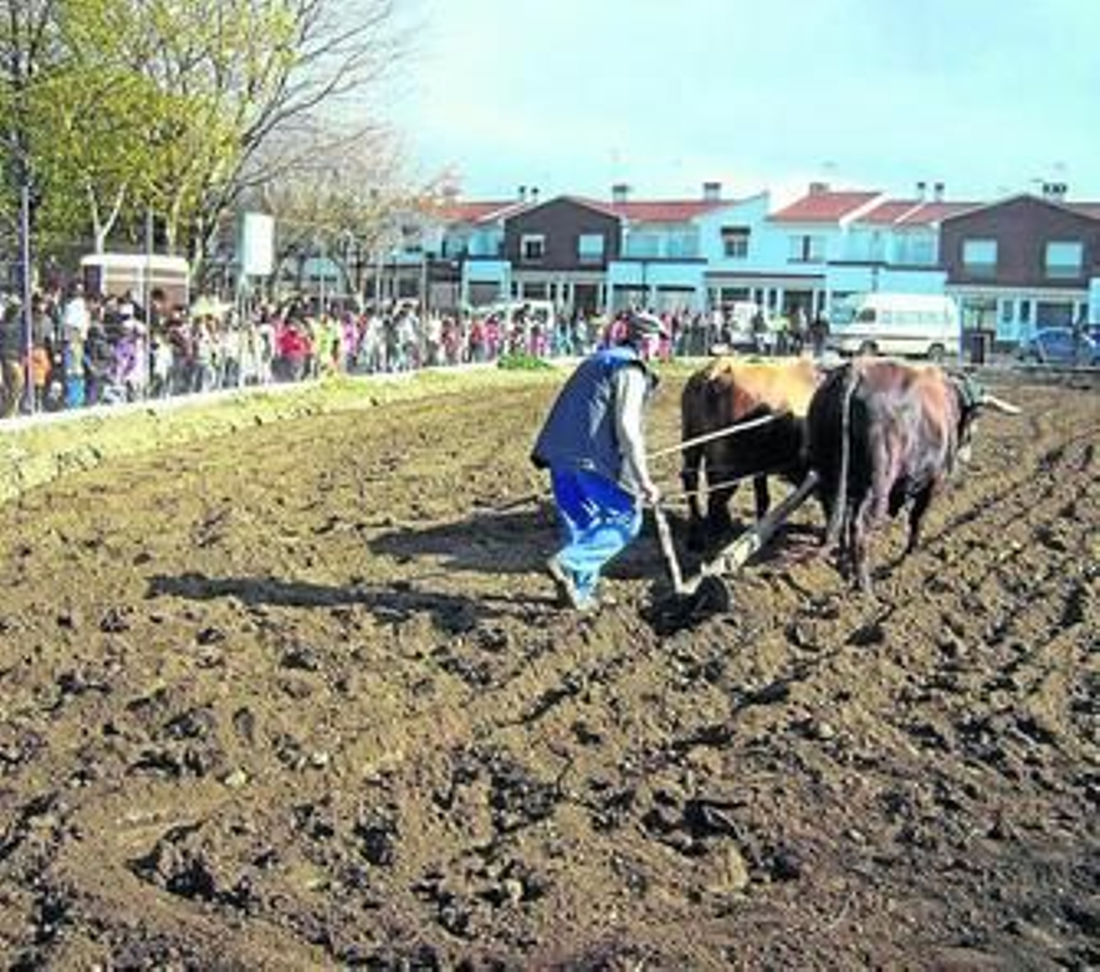 La iniciativa pretende implicar a los más pequeños en las labores agrícolas.