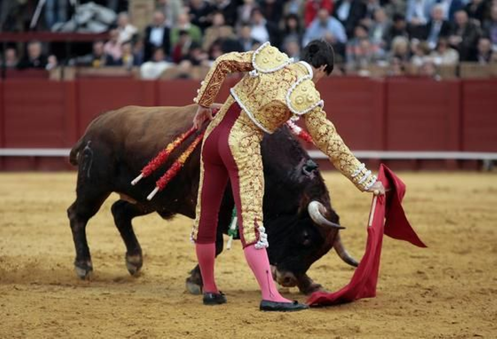 Esaú Fernández con su primer toro en la Maestranza.

Foto: Juan Carlos Muñoz