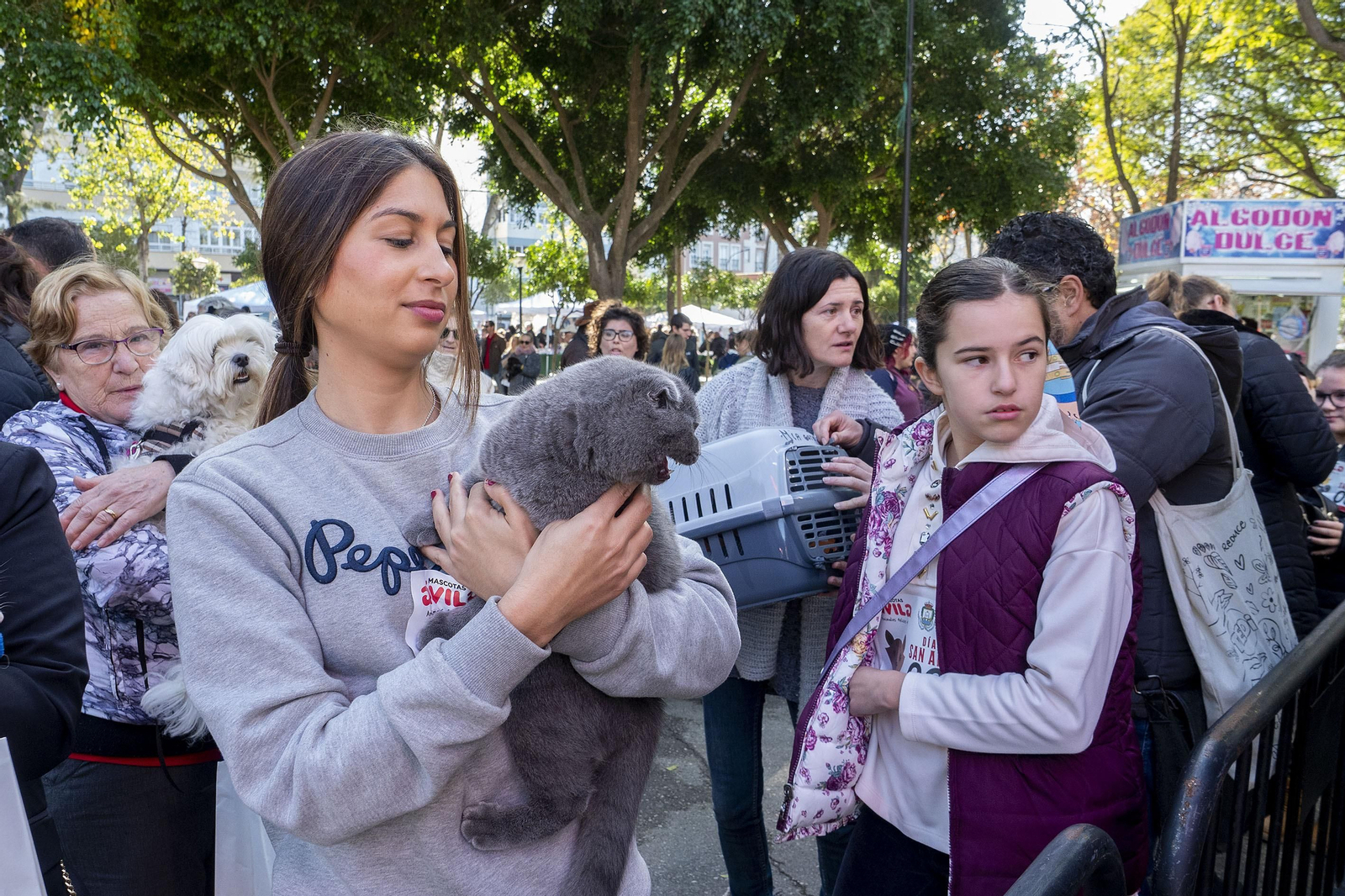Las imágenes de la fiesta de San Antón en San Fernando