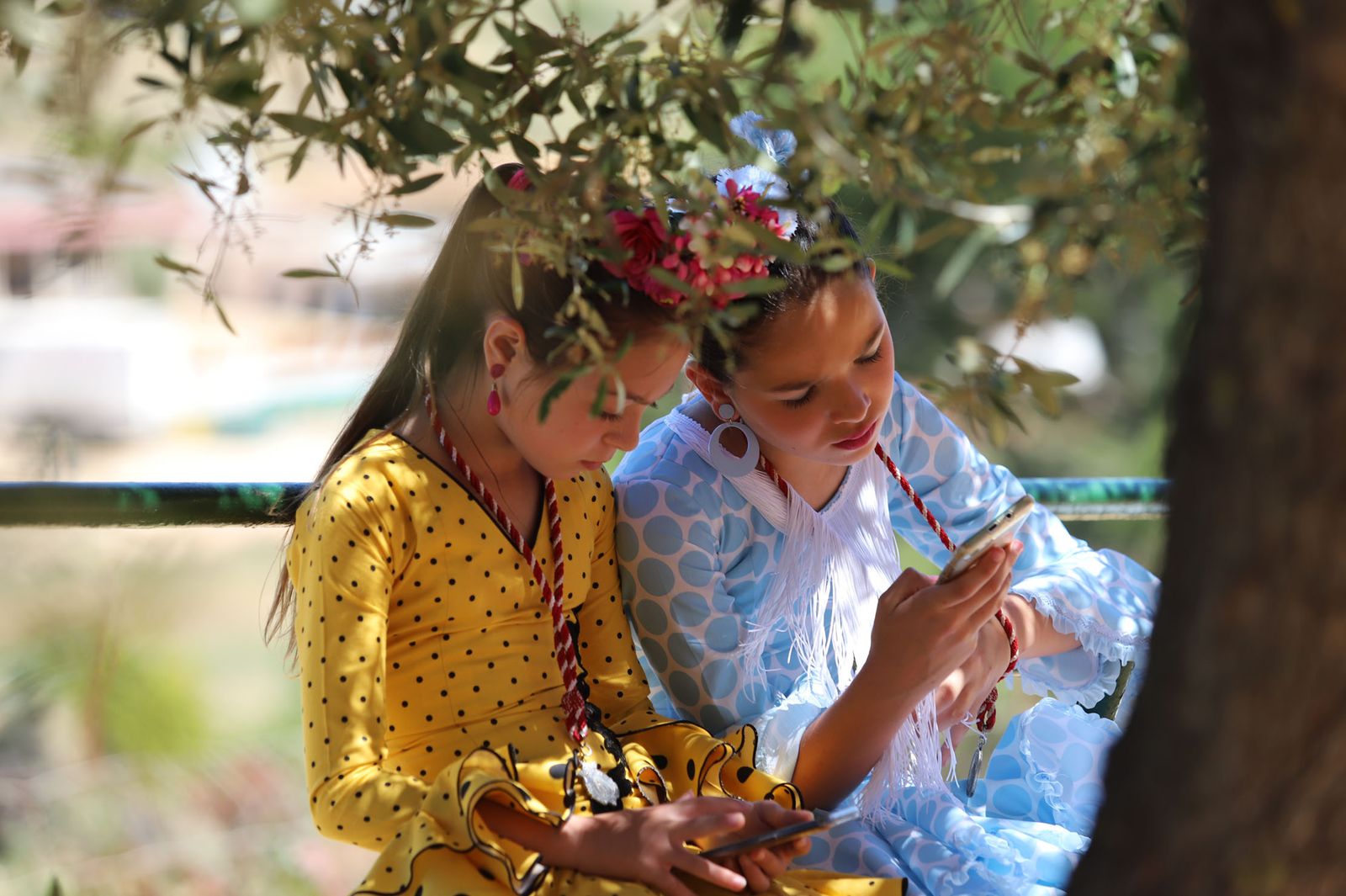 Imágenes de la presentación de las hermandades filiales ante la Virgen de Montemayor