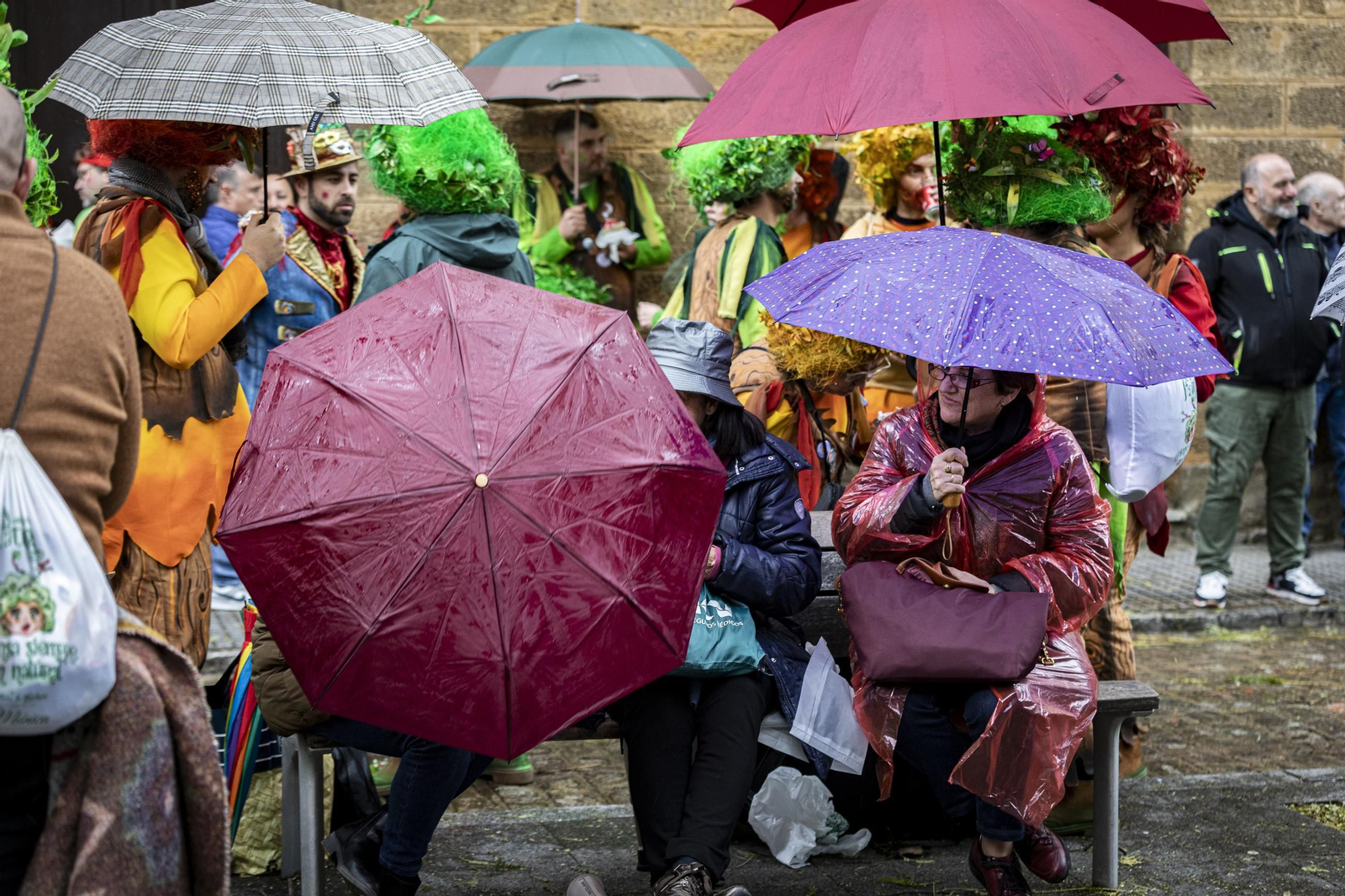 Las imágenes del segundo sábado de Carnaval de Cádiz 2025: Carrusel de coros bajo la lluvia