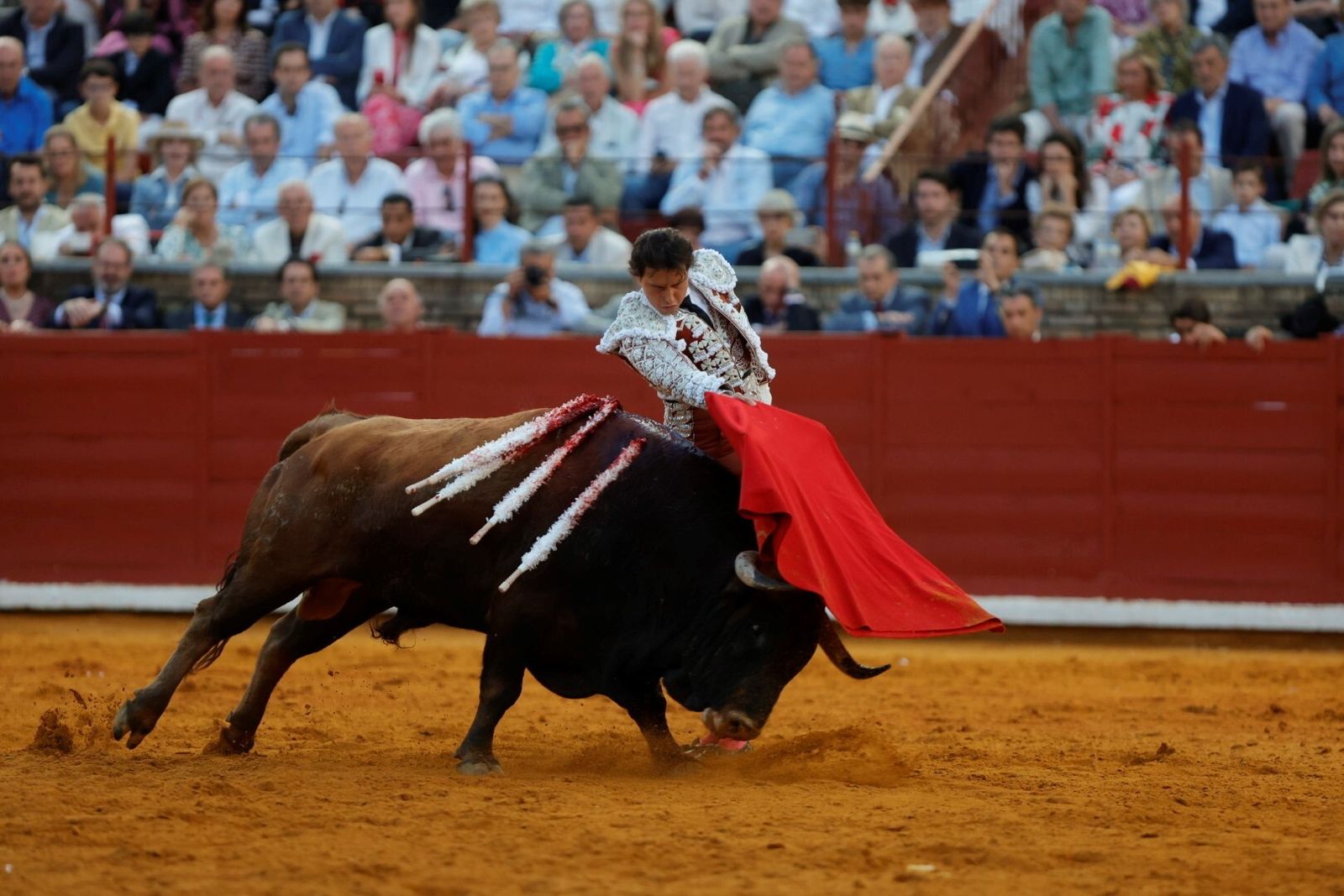 Las mejores fotos de la corrida de Morante, Ortega y Roca Rey en la Feria Taurina de Córdoba